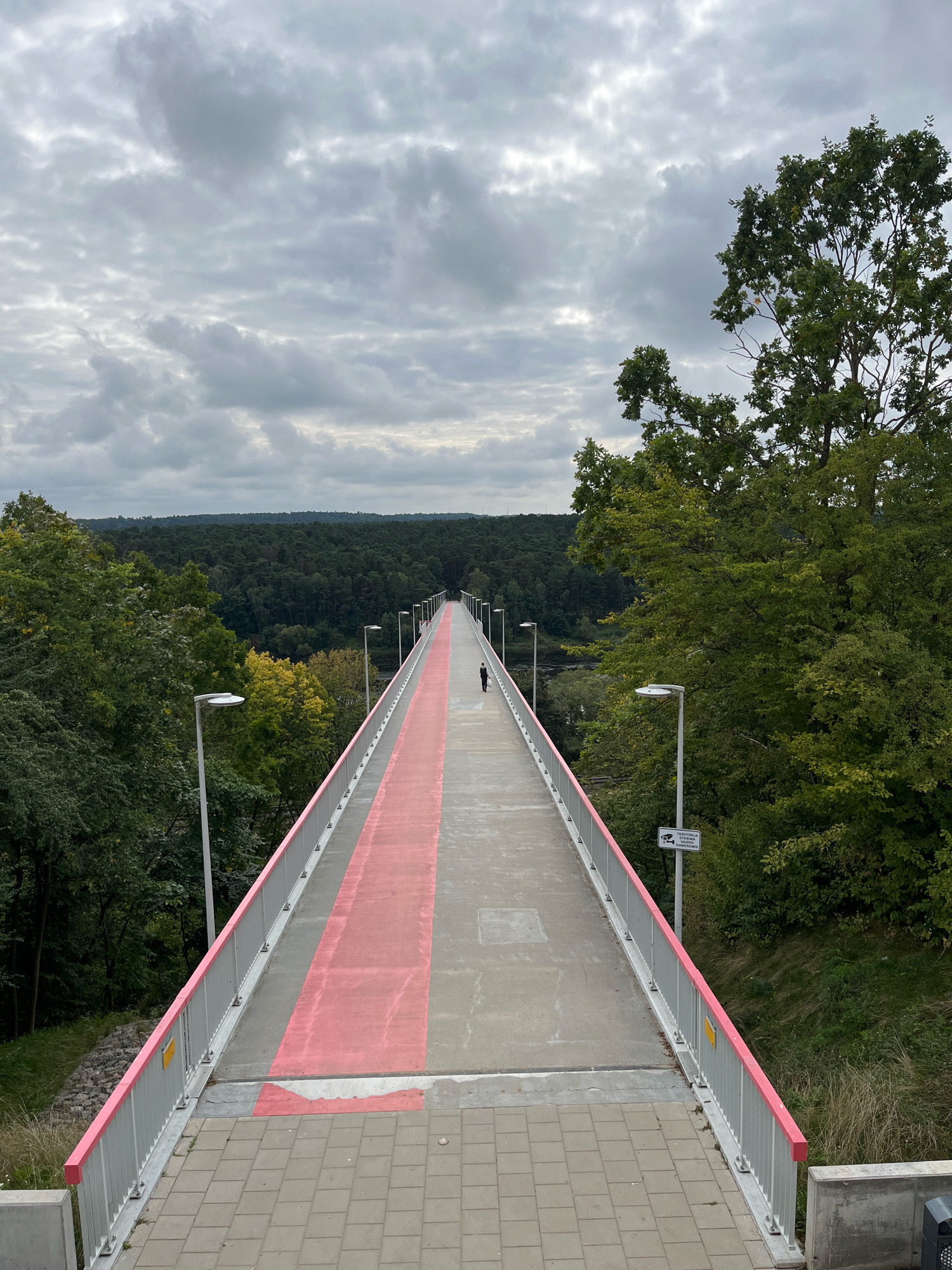 The image depicts a long pedestrian bridge with a pink stripe running down its center. A single person, silhouetted against the overcast sky, walks away from the camera towards the end of the bridge. The bridge is flanked by trees on either side, with a dense forest visible in the background. The sky is filled with grey, textured clouds. A sign with a camera icon and text in an unfamiliar language is visible on the right side of the bridge railing. This bridge is known as the Panemunė Bridge in Kaunas, Lithuania.