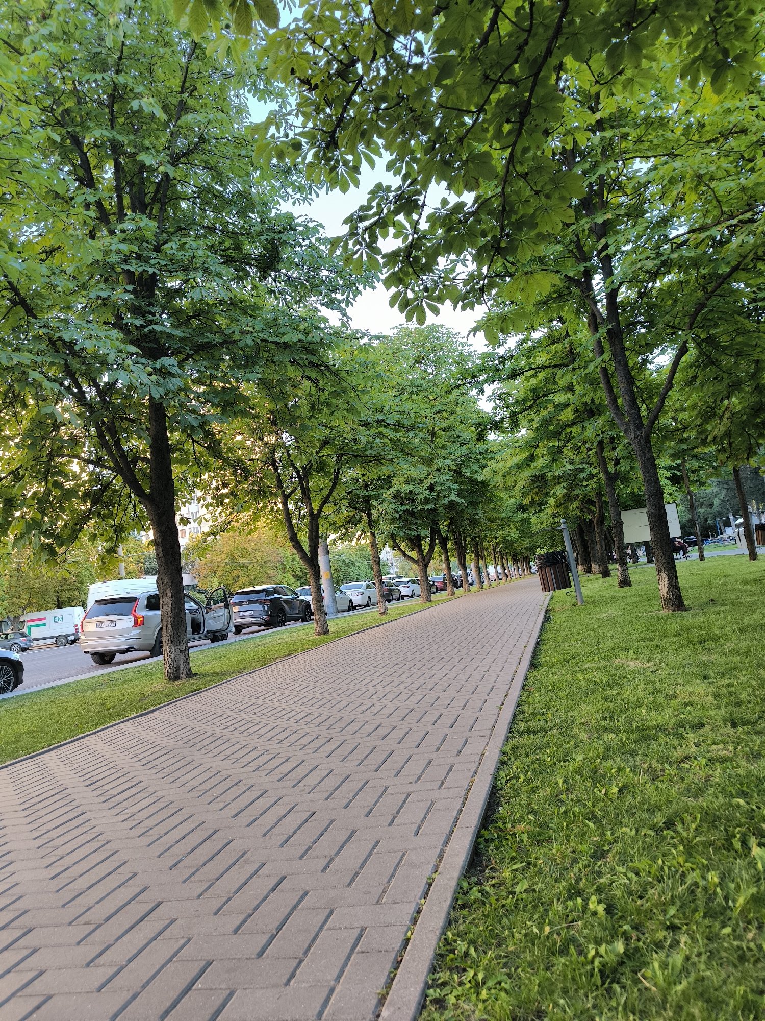 The image depicts a tree-lined street in Chișinău, Moldova. A paved walkway runs along the right side of the image, bordered by a strip of green grass. On the left, a road with parked cars and moving traffic is visible. Trees with lush green foliage cast shadows on the walkway. The scene appears to be a pleasant urban environment during daytime.