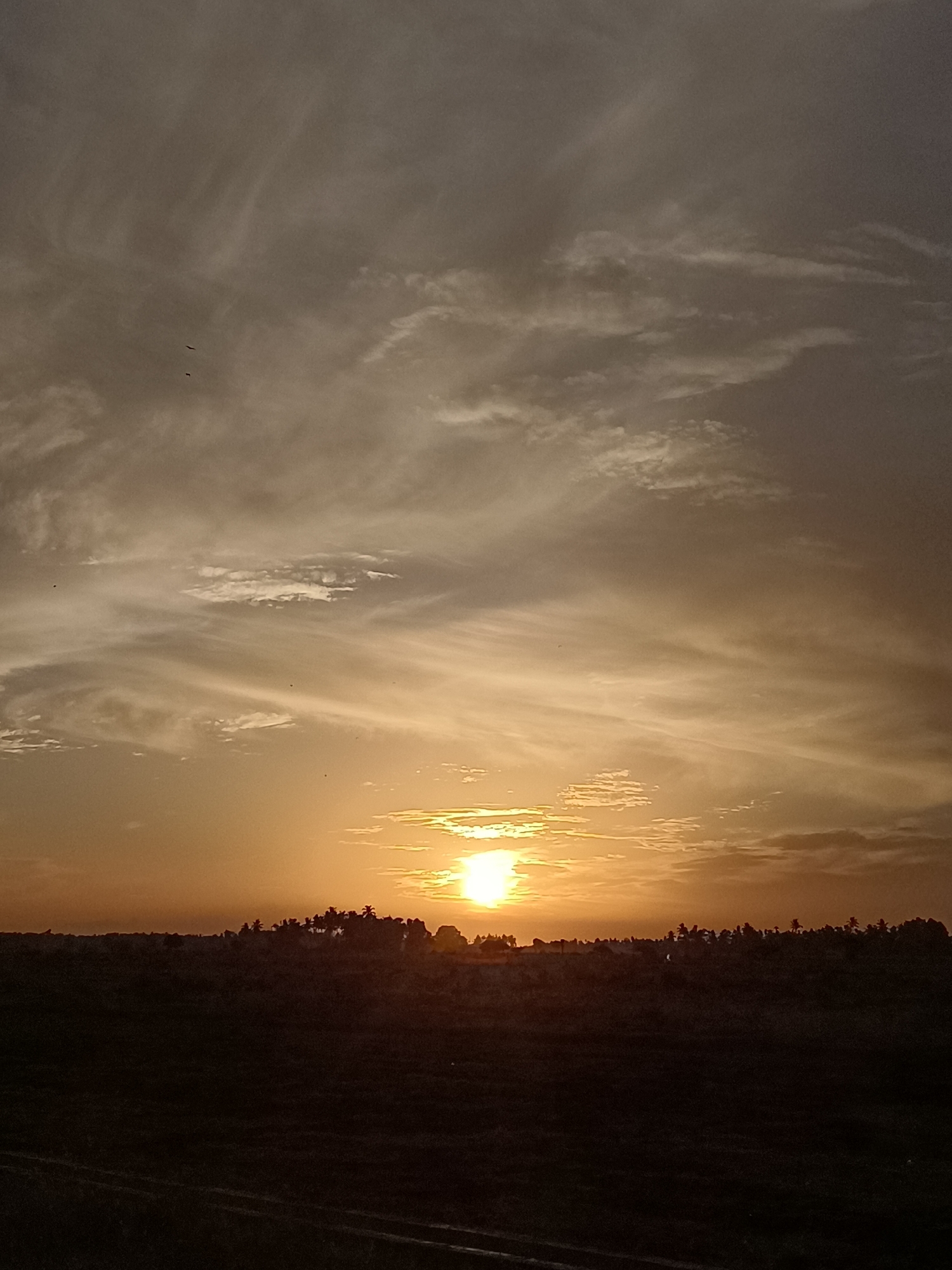 The image depicts a sunset over a rural landscape in Meunasah Raya, Indonesia. The sun, a bright orb, is partially obscured by clouds, casting a warm, golden-orange glow across the sky. Wispy clouds streak horizontally, creating a textured effect in the upper atmosphere. The horizon is marked by a dark silhouette of trees and low-lying vegetation, suggesting a natural or agricultural setting. The foreground is largely dark, with subtle hints of texture that could be fields or uneven terrain. There are no people or specific structures visible, emphasizing the natural beauty of the sunset and the serene, undeveloped character of the location.