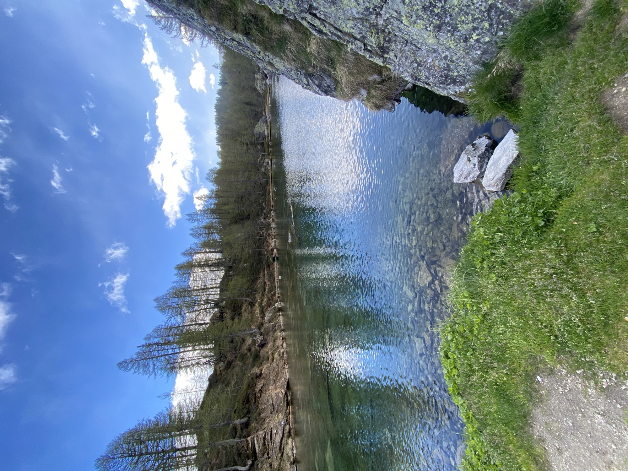 The image shows a view of Lago Superiore in Baceno, Italy. The water is clear and reflects the blue sky with white clouds. A line of trees runs along the bank of the lake, with a rocky cliff and grass on the right side of the image. Two large rocks are near the edge of the water.
