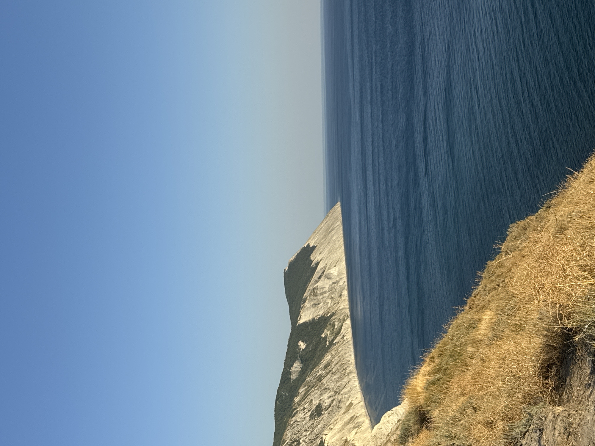 The image captures a panoramic view of the coastline near Anapa, Russia. A steep, rocky cliff face, partly covered in sparse vegetation and dry grasses, slopes down towards a calm, dark blue sea. The cliff exhibits distinct horizontal striations, indicating layers of sediment. Along the top of the cliff, dense green trees form a contrast with the lighter rock. The sea stretches to the horizon, meeting a clear, pale blue sky. The overall impression is one of a natural, rugged coastal landscape under bright daylight.