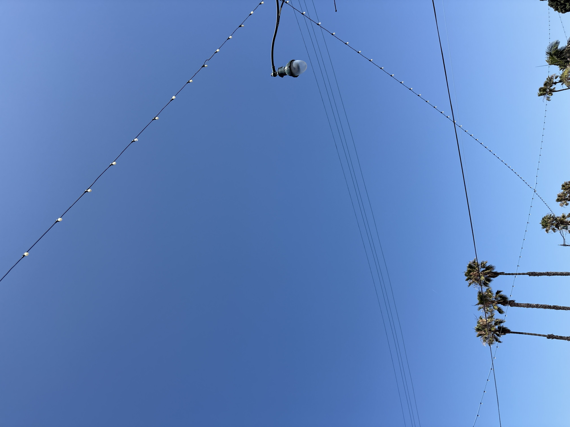 The image shows a low-angle view of a clear, bright blue sky in Redondo Beach, California, United States. Several elements are suspended against the sky: strings of decorative lights with small, round bulbs, a single streetlight with a glass bulb cover, and various power lines. Palm trees are visible along the right edge of the image.