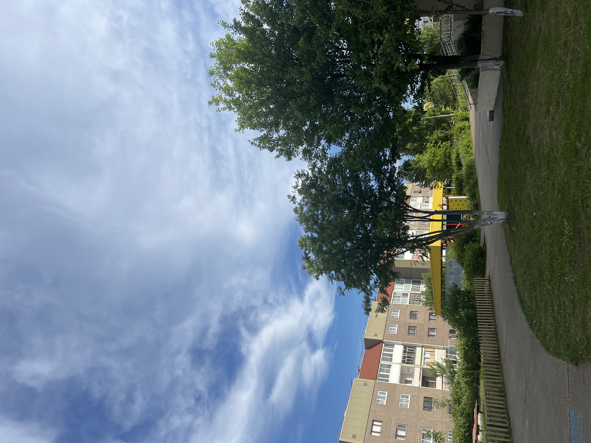 The image depicts a residential courtyard in Markovskii, Russia, on a bright, partly cloudy day. A multi-story apartment building with a reddish-brown roof and tan facade dominates the left side of the frame, featuring numerous windows and balconies. In front of the building, a yellow covered walkway or structure is visible, along with a playground area with a climbing wall.
The foreground shows a paved pathway winding through a grassy area. Several trees are present, with lush green foliage. The tree on the right is larger and closer to the viewer, while another, slightly smaller tree is positioned more centrally. Both trees have trunks painted white near their bases. A low wooden fence runs along the edge of the pathway. In the background, more greenery and trees indicate a suburban or urban park-like setting. The sky above is a vibrant blue with scattered white clouds, some appearing wispy and streaky. No people are visible in the scene.