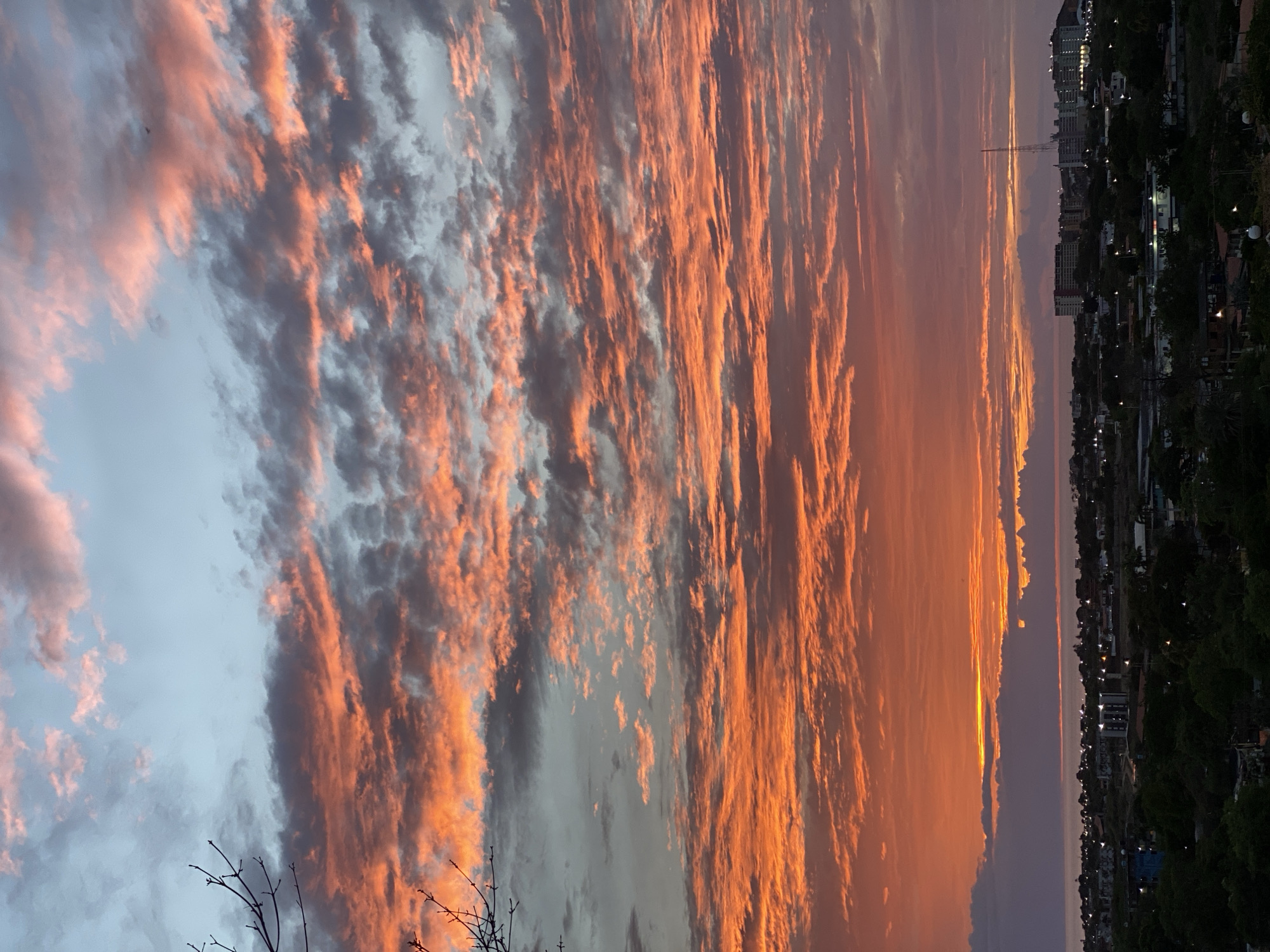 The image depicts a vibrant sunset over the city of Juan Griego, Venezuela. The sky is filled with dramatic clouds painted in hues of orange, pink, and gray, with patches of soft blue. In the foreground, silhouetted tree branches extend from the left side of the frame. Below the striking sky, the city of Juan Griego is visible, a sprawl of buildings and greenery. The coastline and the Caribbean Sea can be seen in the distance, with the water reflecting the warm colors of the sunset. The city lights are beginning to twinkle as dusk settles. The overall scene captures the serene beauty of a tropical sunset.