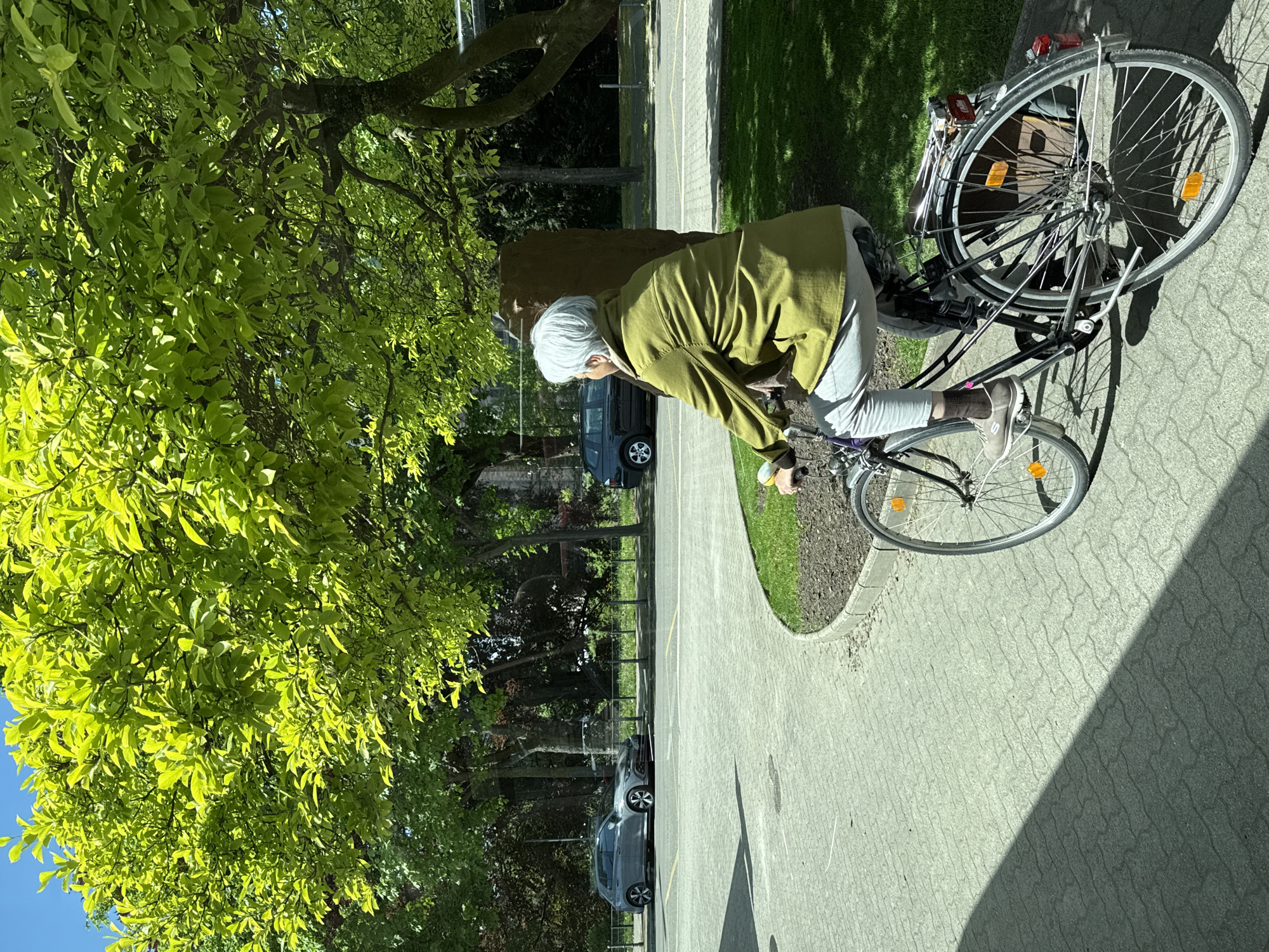 The image, originally rotated 90 degrees clockwise, presents an outdoor scene under bright sunlight in Strasbourg, France. The central subject is an older woman with short, white hair, dressed in a long-sleeved olive-green jacket and light grey pants. She is seen from the side, bent over a bicycle, appearing to adjust something near the handlebars or front wheel.
The bicycle has a silver frame, black tires with silver spokes, and orange reflectors on both wheels. A black wire basket is attached to the rear rack. The woman and bicycle are positioned on a light-colored paved path or sidewalk, characterized by a geometric interlocking paver pattern. Adjacent to the path on the right is a narrow strip of green grass and dark soil.
Beyond this green strip lies a road with yellow painted lines. Several vehicles are visible on or alongside the road, including a dark SUV or minivan and a grey sedan. A large tree with vibrant, light-green foliage dominates the left side of the frame, its branches extending over the paved area and casting dappled shadows. Bright sunshine creates distinct, elongated shadows on the ground, indicating either morning or late afternoon. A clear blue sky is visible in the upper left background. There is no visible text in the image.
