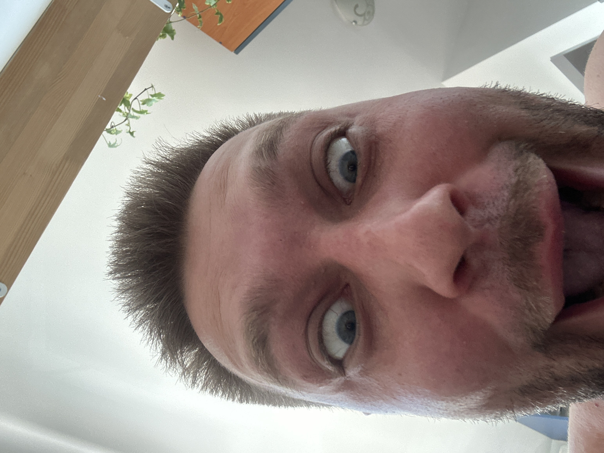 A close-up, wide-angle, POV shot shows a man's face from an extremely low angle. The man has light brown, short hair, bushy eyebrows, and blue eyes. His mouth is wide open in a surprised or excited expression, revealing his tongue and teeth. He has a light beard and stubble. The background is out of focus but appears to be indoors, with a sloped wooden ceiling visible at the top. There is a plant with green leaves hanging from the ceiling in the upper right corner. The overall impression is one of a candid, playful moment. The location is Zvezdara Urban Municipality, Serbia.