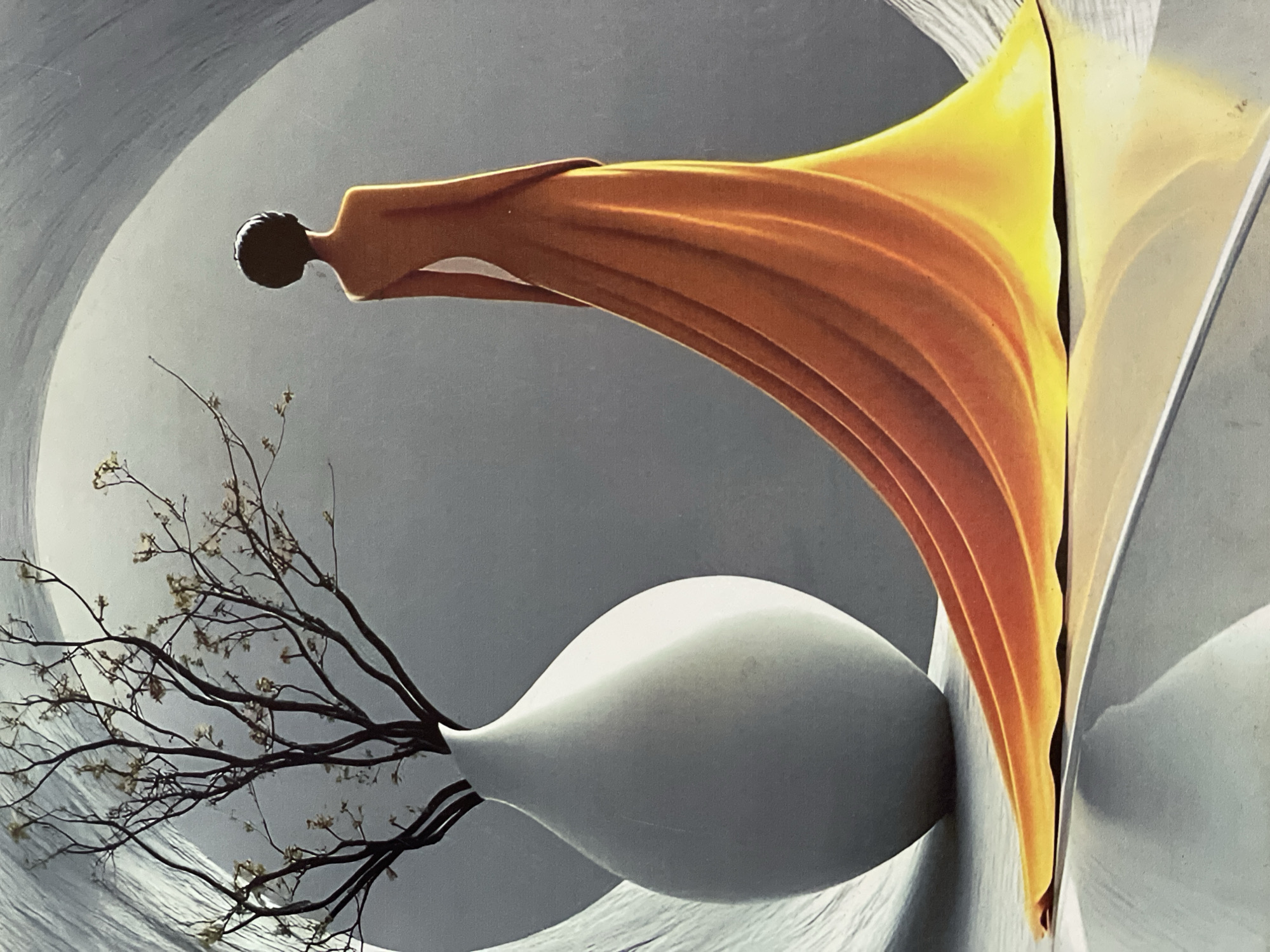 An artwork depicts a minimalist scene with a striking contrast between organic and geometric forms. In the foreground, a woman stands with her back to the viewer, her bare shoulders illuminated. She is adorned in a flowing, sunset-orange gown that drapes dramatically to the floor, creating elegant folds and a luminous gradient from deep orange to bright yellow. To the left, a large, matte white vase holds a sparse arrangement of bare branches, their delicate twigs and nascent buds creating a stark, dark silhouette against the muted background. The environment appears to be an abstract, interior space characterized by smooth, curved surfaces. A large, grey, arched structure forms the backdrop, enclosing the scene and creating a sense of depth and isolation. The overall composition is rendered with soft lighting and a limited color palette, emphasizing form and texture. The setting is not identifiable as a specific city location.