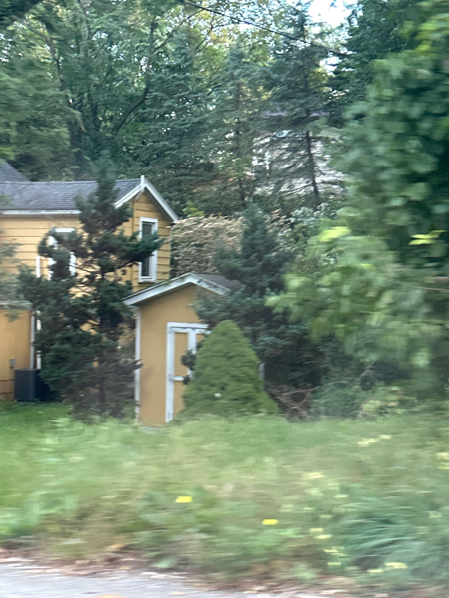 This image shows a yellow house and a matching detached garage situated in a wooded area. The house has a dark roof and multiple windows. The garage is smaller and has a single door. There is dense foliage surrounding the structures, including trees and bushes. In the foreground, there is a grassy area with some yellow wildflowers, and a hint of a paved surface, suggesting a road or driveway. The overall scene appears to be a residential property in a semi-rural or suburban setting within Scott Township, United States of America, likely captured from a moving vehicle due to the motion blur.