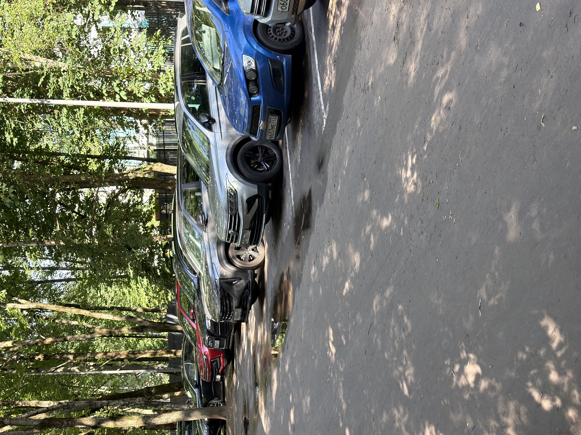 A line of parked cars is visible on a paved surface with puddles of water. The cars are varied in color and make, including a blue Chevrolet, a silver Volkswagen Tiguan, a dark gray SUV, a red car, and a black sedan. Trees with green foliage line the background, casting dappled shadows on the ground. The scene appears to be a parking lot or street in Moscow, Russia, given the presence of Russian license plates on some of the vehicles.