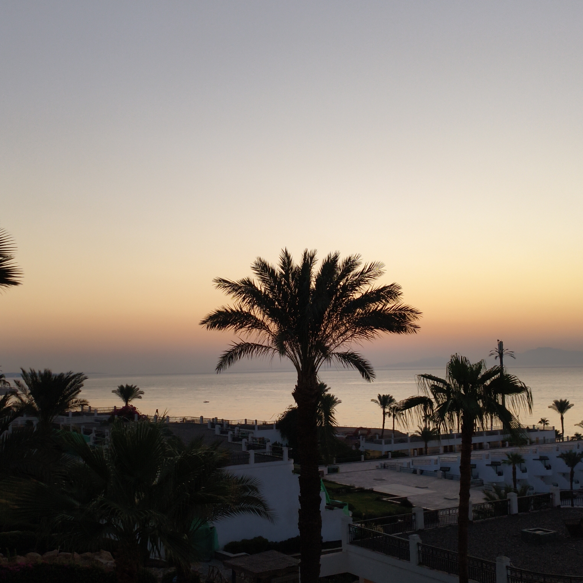 The image captures a serene sunrise scene over a body of water, likely the sea, with a silhouette of a tropical resort. The sky exhibits a gradient of soft pastel colors, transitioning from a pale blue at the top to warm oranges and yellows near the horizon, indicating the early morning. In the foreground and mid-ground, several palm trees are visible, their dark silhouettes stark against the brightening sky. The resort itself appears to be constructed with white buildings, featuring balconies and multiple levels, suggesting a vacation destination. There are railings and pathways suggesting well-maintained grounds. The water is calm, reflecting the colors of the sky. In the distance, faint outlines of land or mountains are discernible on the horizon. The overall impression is one of tranquility and natural beauty at the dawn of a new day.