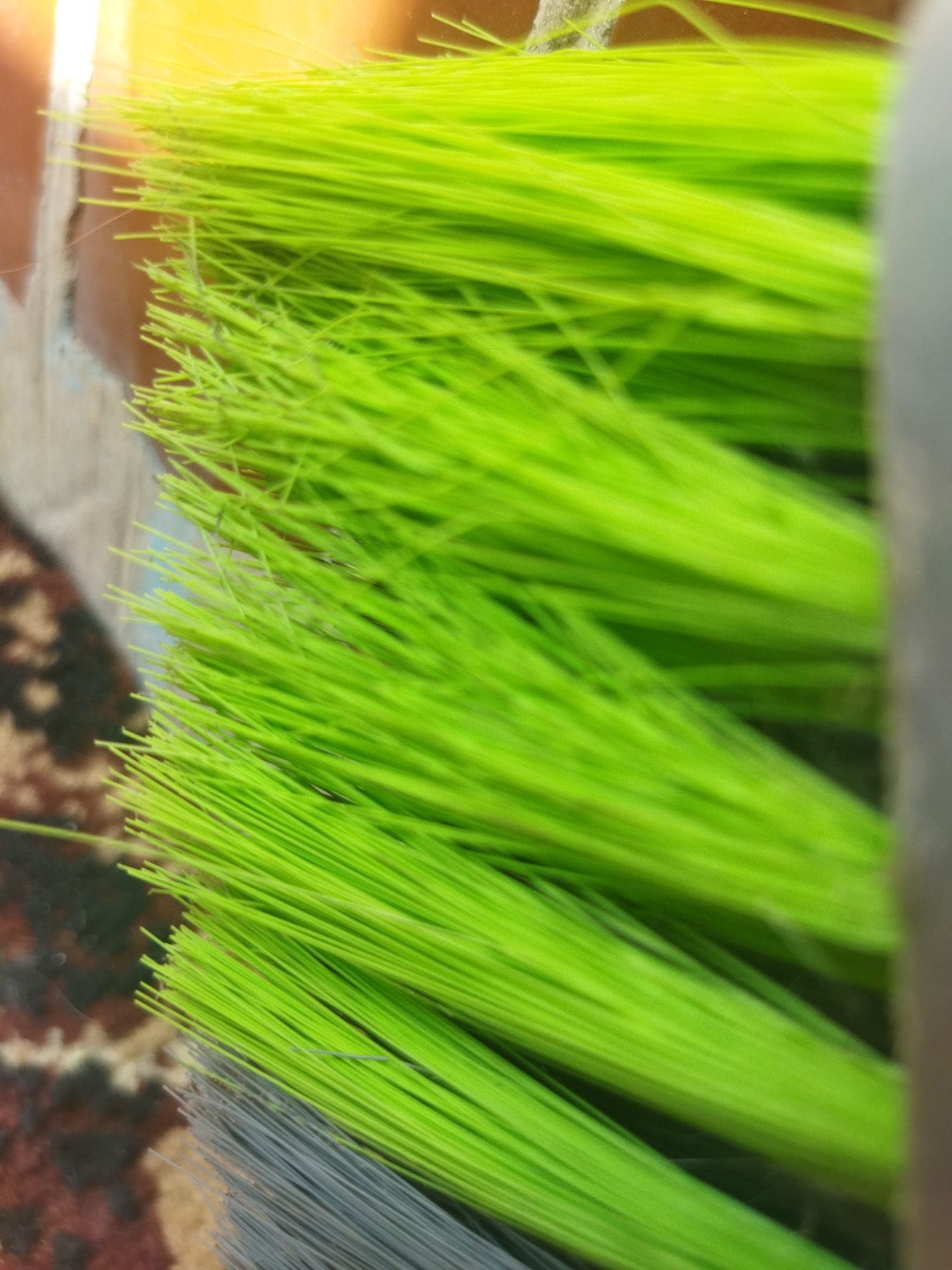 The image shows a close-up of a green broom with grey bristles at the bottom. The bristles are densely packed and appear to be made of plastic. The background is blurry, but a patterned surface is visible on the left and a yellowish object on top. The location is not identifiable.