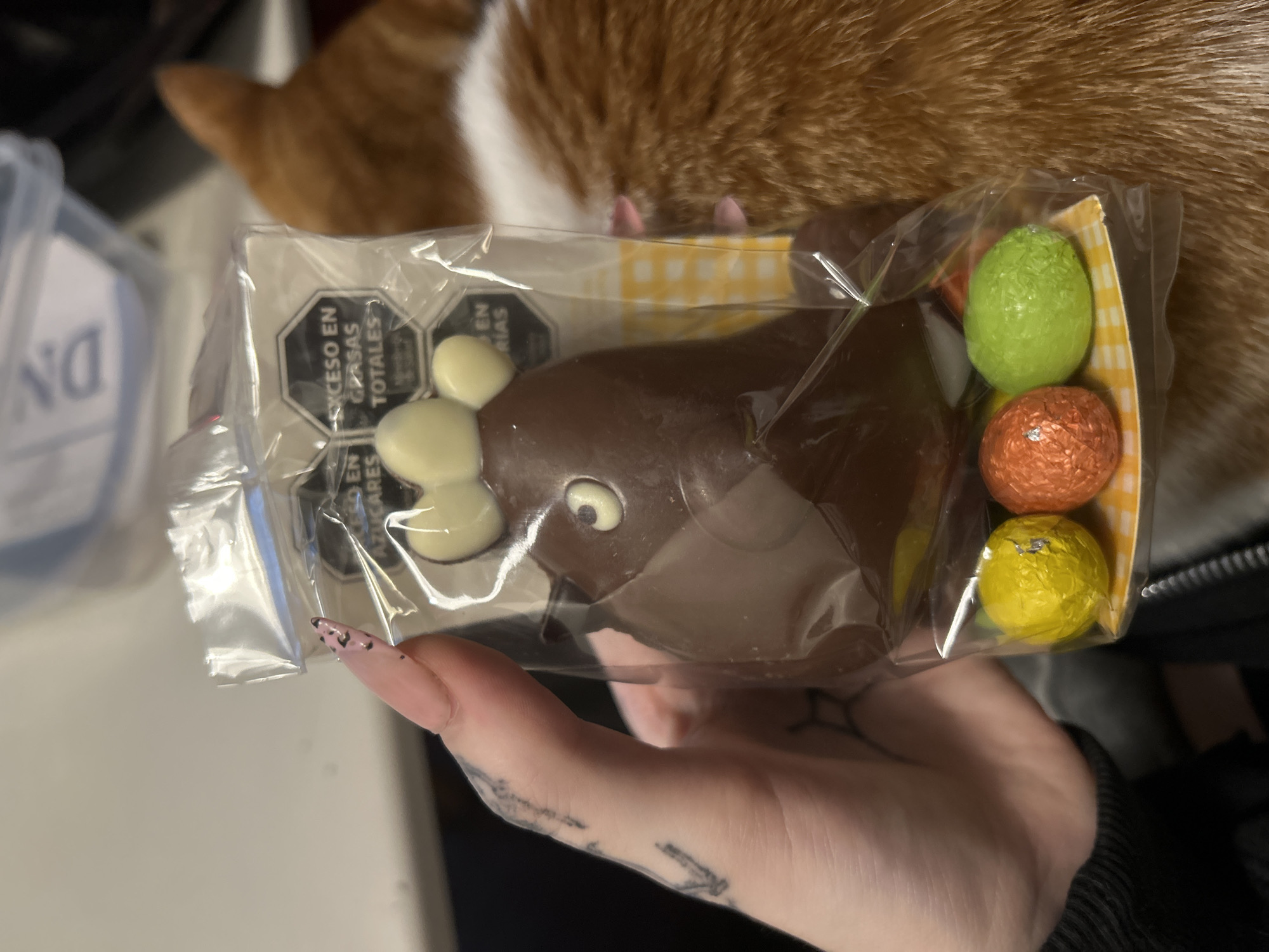 A close-up, eye-level shot shows a person's hand holding a clear plastic package of chocolate treats, with a ginger cat partially visible in the blurred background.
The main subject is a dark brown chocolate figurine, resembling a rabbit or a similar animal, with white chocolate details for its ears and a white eye with a dark pupil. To the right of the chocolate figure, within the same package, are three foil-wrapped chocolate eggs in bright colors: green, orange, and yellow, nestled against a yellow and white gingham pattern.
The person's hand has long, pointed fingernails painted pink with small black spots. Tattoos are visible on the fingers and palm/wrist area, featuring intricate, possibly abstract or naturalistic designs.
In the upper background, the fur of a ginger and white cat is visible, and two tiny pink paw pads can be seen near the top edge of the chocolate packaging, suggesting the cat is resting or observing nearby. The background is otherwise blurred, but a translucent container with the letters "DN" is faintly visible on the left.
Visible text on the packaging includes dark octagonal warning labels, a common feature in Latin American food products. One clearly reads "EXCESO EN GRASAS TOTALES" (Excess in Total Fats). Parts of other labels hint at "EXCESO EN AZÚCARES" (Excess in Sugars) and possibly "GRASAS SATURADAS" (Saturated Fats), indicating a food item subject to specific nutritional labeling regulations, consistent with the location context of Buenos Aires, Argentina.
The scene appears to be indoors, possibly on a table or flat surface. The chocolate eggs and rabbit strongly suggest an Easter theme.