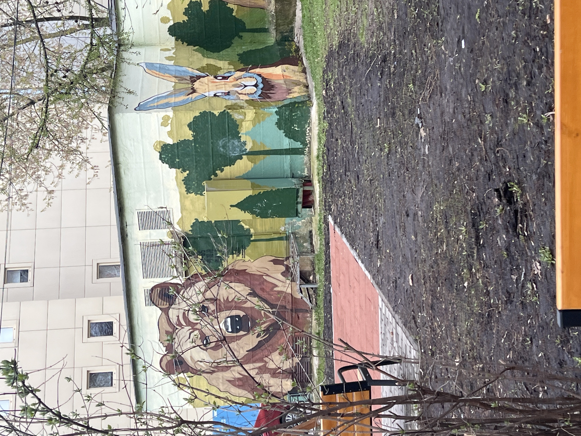 The image captures an outdoor scene in Mytishchi, Russia, centered around a large building with a vibrant mural, viewed from a slightly elevated perspective.
The primary subject is a multi-story building, its side wall adorned with an extensive mural depicting forest animals and a stylized natural landscape. In the upper part of the mural, a hare or rabbit with distinctively long, blue-tipped ears and patterned fur is painted, looking towards the right. Below it, occupying the lower section of the mural, is the head of a large brown bear, facing forward with its mouth slightly ajar. The background of the mural features various green and yellowish hues representing trees and a woodland setting. Architectural elements like grates or vents are visible on the building wall, integrated into the mural's composition.
To the left of the mural, a modern, light-colored residential or commercial building with multiple small, square windows is partially visible. Its facade suggests a multi-story structure. In the foreground, a tree with sparse, light-colored leaves or blossoms obscures parts of both buildings, indicating a spring or early summer season.
The ground area in the foreground and to the right consists of dark, wet earth with patches of nascent green vegetation, suggesting a muddy or recently rained-on surface. A section of red-tiled paving is visible in the middle-ground, bordering the muddy expanse. A wooden beam or structure is present on the far right, and a black-framed object, possibly part of a bench, is at the bottom right.
The scene is illuminated by diffused daylight, indicative of an overcast sky. No people or legible text are visible. The overall impression is a blend of urban architecture and nature-themed art.