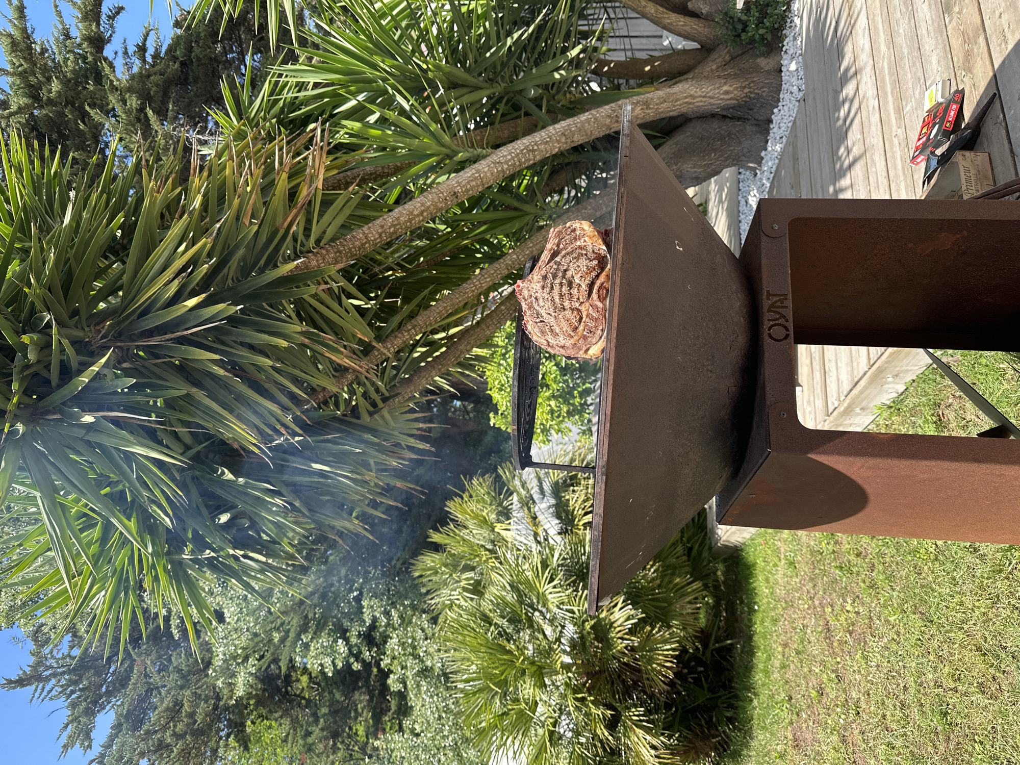 The image shows a steak grilling on an outdoor grill. The grill is brown and box-shaped with the letters "OYM" visible on the side. Smoke is rising from the grill. The surrounding environment includes greenery such as palm trees and other bushes and trees. The ground is covered with grass. In the background, there is a wooden deck with white pebbles along its edge. A box of matches is on the deck.
The photograph was taken in La Couarde-sur-Mer, France.