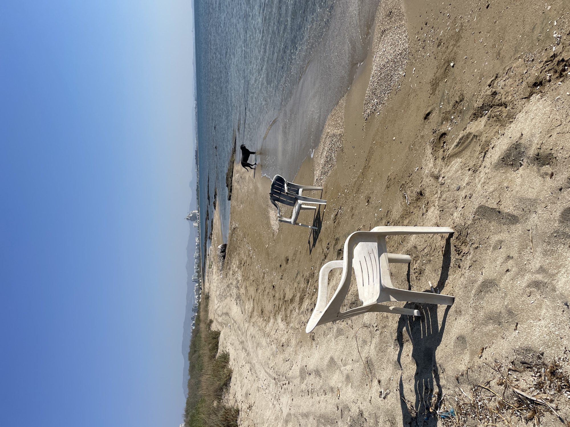 The image depicts a beach scene in Spathariko, Northern Cyprus. The foreground features a white plastic chair casting a shadow on the sand. Behind it, to the right, is a gray and white plastic chair. A black dog stands in the shallow water near the shore, looking out towards the sea. The beach is sandy with some scattered shells and debris. In the background, the sea stretches to the horizon under a clear blue sky. A distant coastline with buildings and hills is visible.