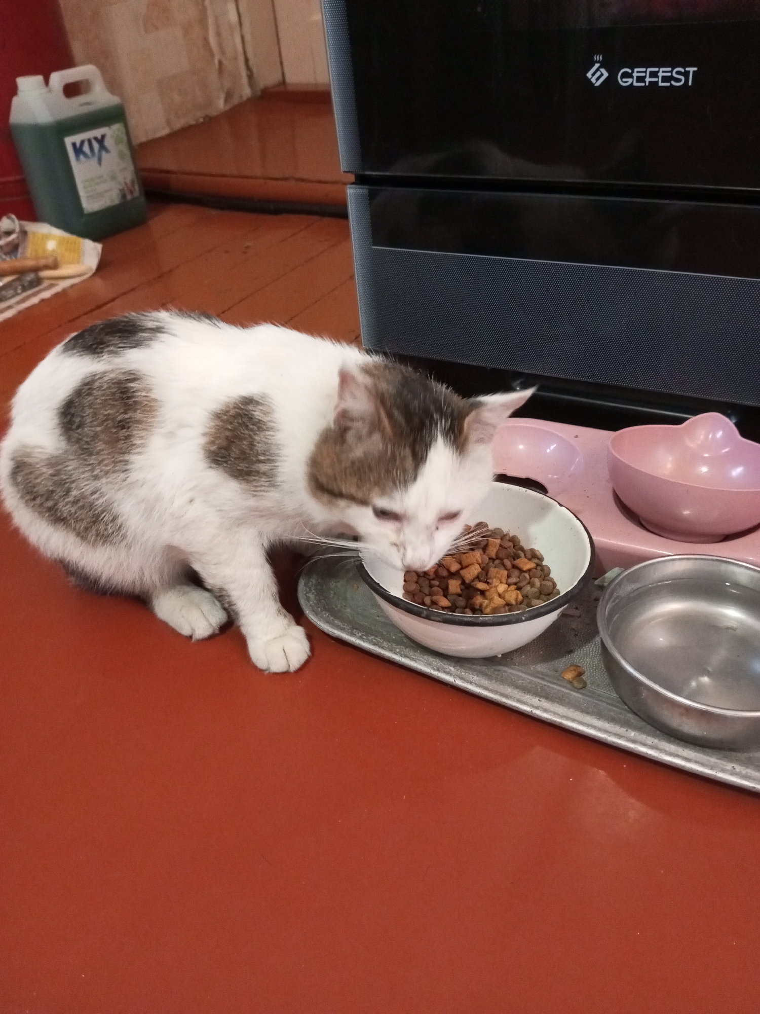 A white and brown spotted cat is eating dry cat food from a white bowl. The bowl is part of a pink feeding station with two compartments, one of which is empty and the other holding a pink bowl. To the right of the feeding station is a stainless steel water bowl. The cat is on a reddish-brown surface. In the background, on the left, is a green plastic jug with a "KIX" label. A black appliance with "GEFEST" written on it is visible behind the feeding station. The scene is indoors, with a tiled wall and wooden floor visible in the background. The location is Ароматновское сельское поселение, Ukraine.