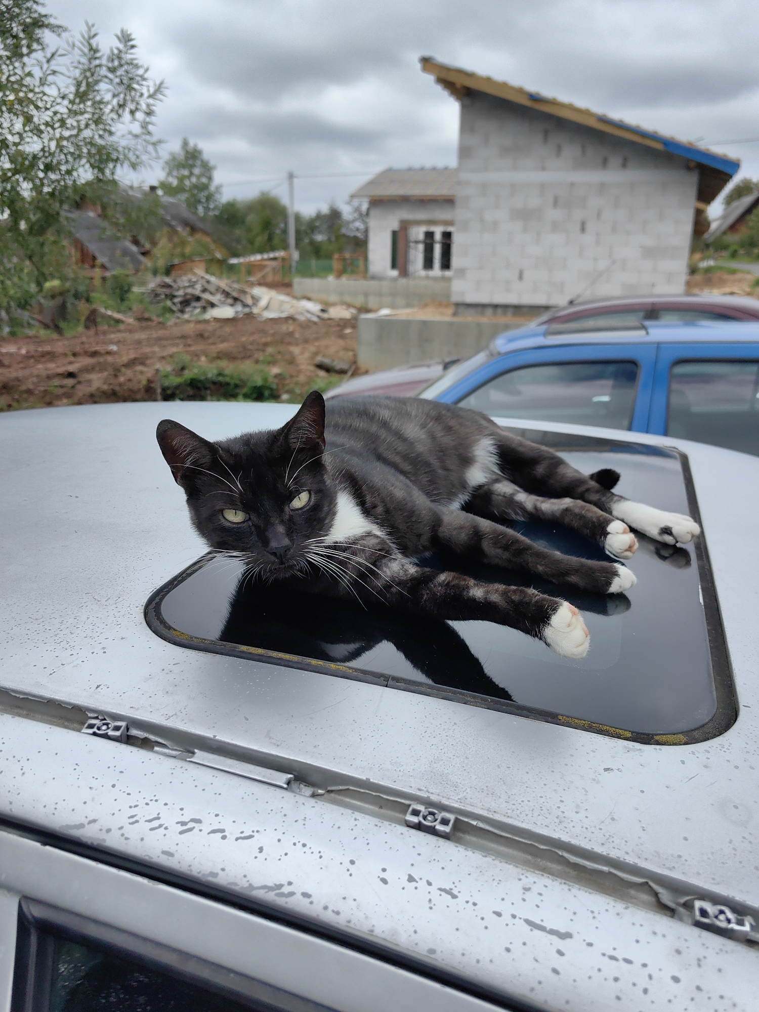 A black and white cat with green eyes lies on the open sunroof of a light-colored car. The cat's body is stretched out, with its paws extended forward. The car appears to be parked on a dirt area, with construction materials and a partially built house in the background. The sky is overcast, and there are trees and other houses visible in the distance. The scene is likely in a rural or suburban area.