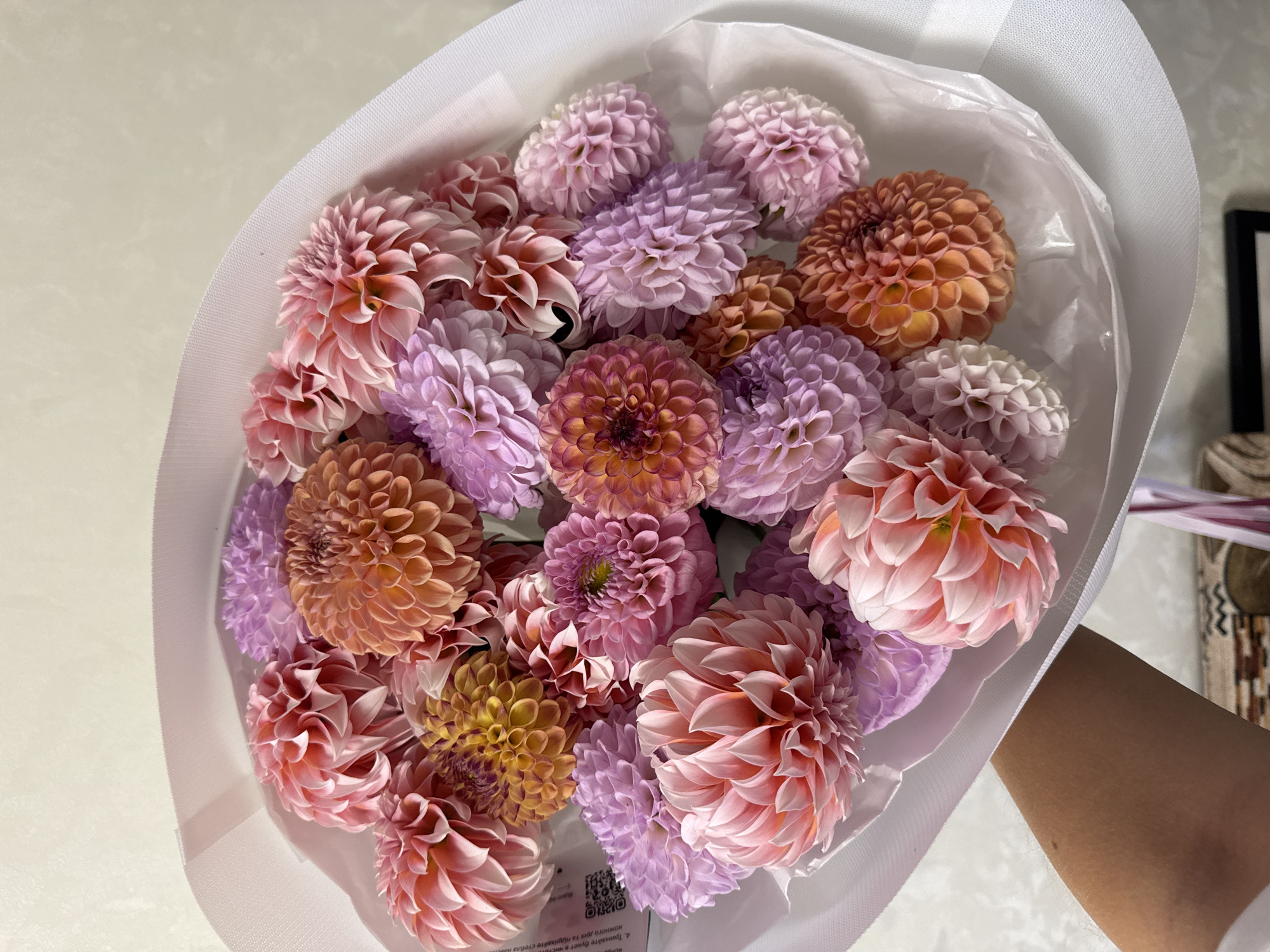 A person's arm and hand are holding a large bouquet of dahlias. The flowers are a mix of pink, peach, lavender, and orange. They are wrapped in white paper with a textured ribbon. The background is a plain, light-colored wall. There is no indication of the location being the city of Kremenchuk, Ukraine.