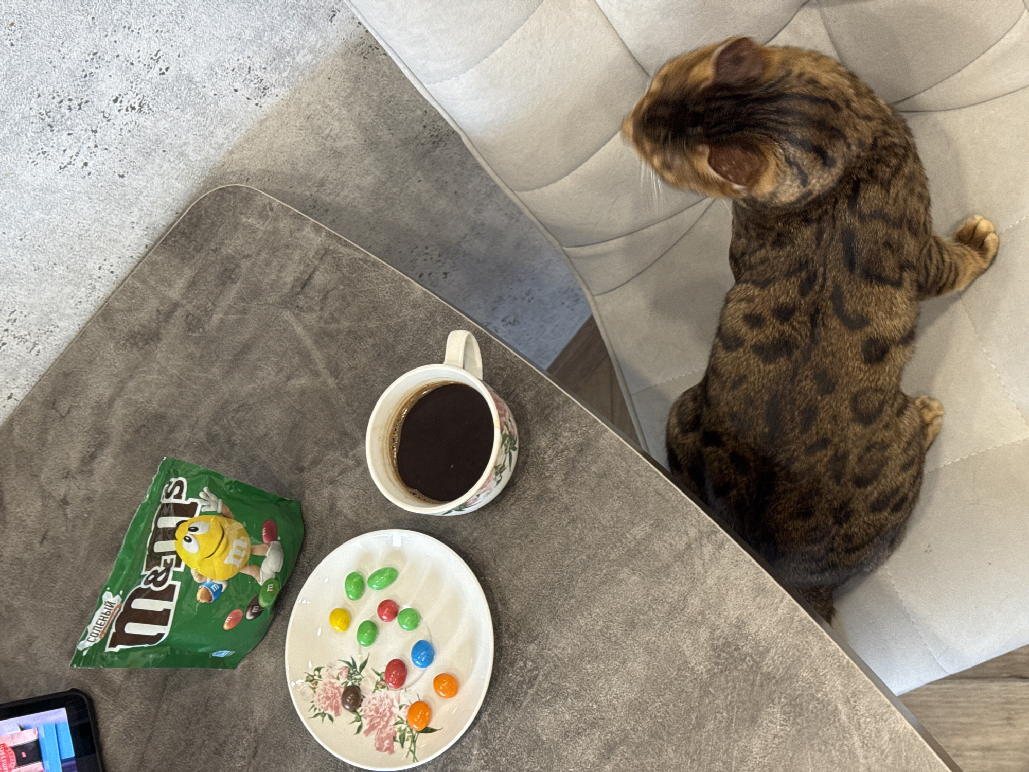 The image shows a high-angle view of a scene with various objects arranged on a gray surface. A green M&M's bag is partially visible on the left side of the surface. Adjacent to the bag is a white plate adorned with floral patterns, containing several colorful M&M's candies. Next to the plate is a white ceramic mug filled with a dark liquid, likely coffee. A portion of a smartphone or tablet is visible in the lower left corner. To the right of the surface, a brown tabby cat is seated on a cushioned chair. The environment is indoors. The location is listed as Unknown, Unknown.