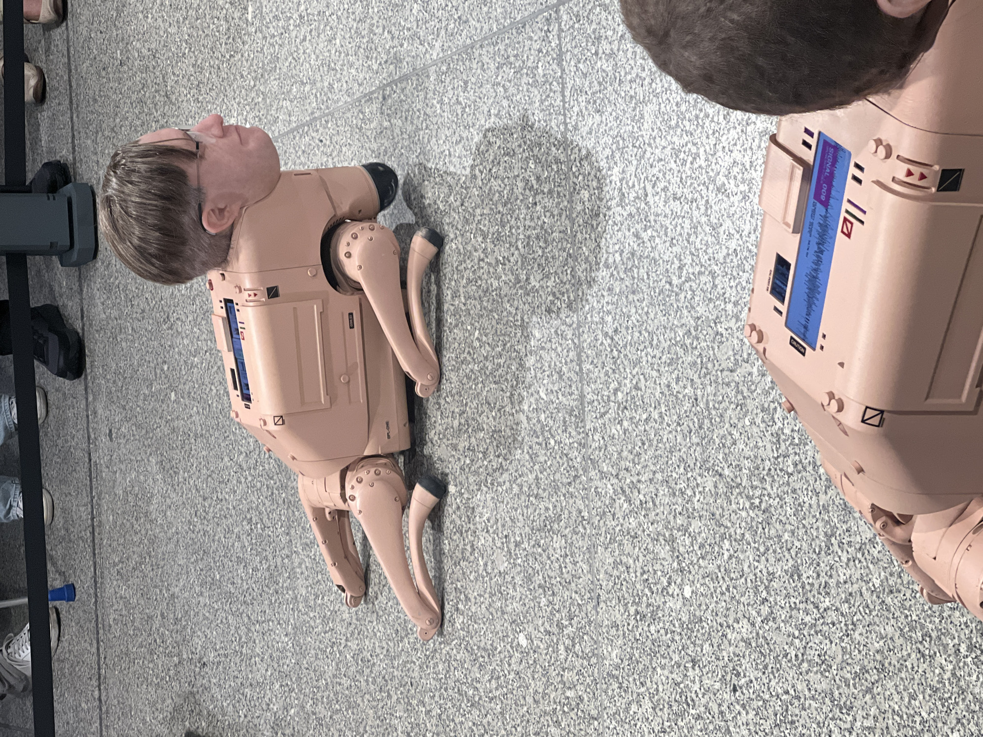 The image shows a humanoid robotic canine figure on a speckled gray floor. The figure has a human-like face with glasses and short gray hair attached to a robotic body of a light pinkish-beige color. Its limbs are articulated with visible rivets and joints. A second similar, slightly larger robot is partially visible to the right, next to a person's head. The robot displays a blue label with what looks like a sound wave pattern and text reading "SIGNAL 008" or "SIGNAL 800." Other people can be seen along the left edge of the image and a metal barrier. The scene is likely indoors, possibly at an exhibition, in the city of Berlin, Germany.