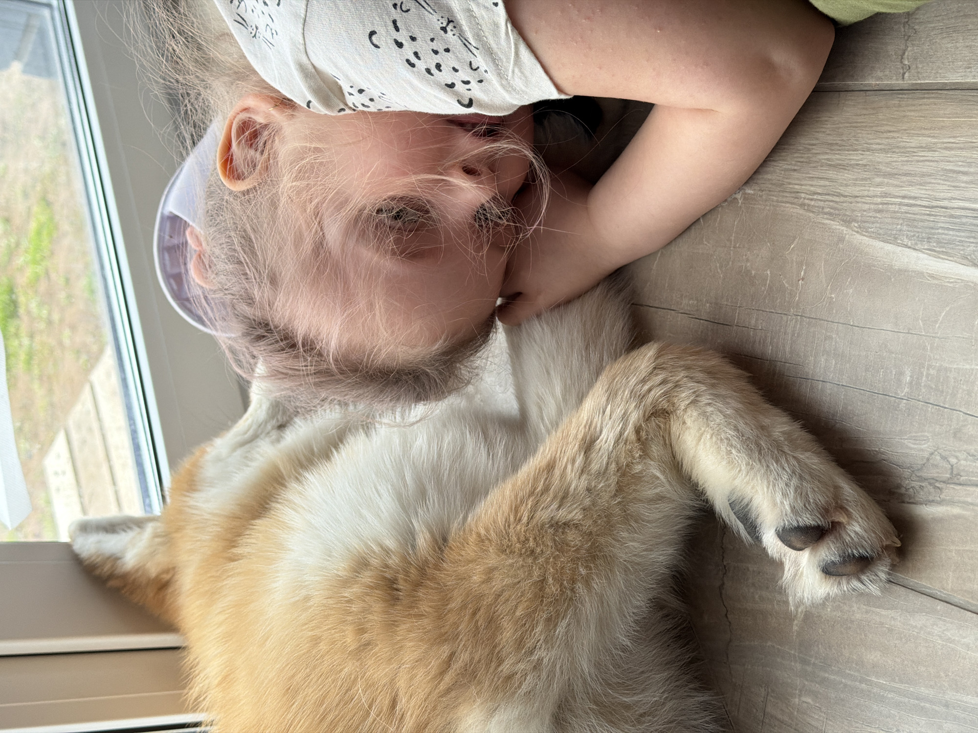A young girl lies on a wooden floor, cradling a dog. The girl has fair skin, blond hair, and wears a patterned white shirt with a possible green undershirt sleeve visible. Her face is close to the dog's head. The dog is medium-sized, with white and tan fur. Its paws are visible, displaying black pads. The scene is lit by natural light from a window on the left, revealing an outdoor area with greenery. The location appears to be indoors, set against a backdrop of wooden flooring. The image lacks further clues for identifying the city of Chaikovsky, Russia.