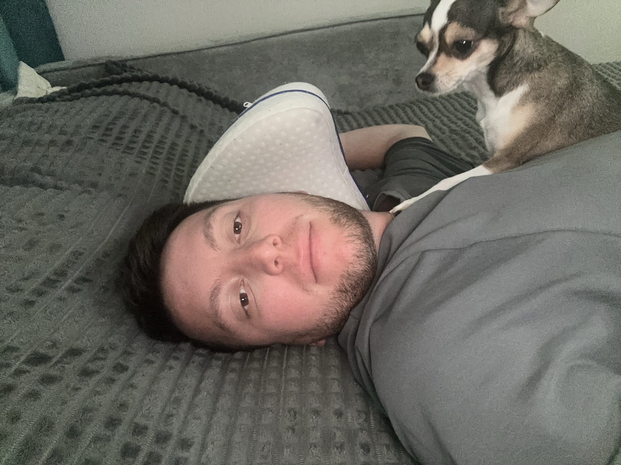 A man is lying on a gray textured bedspread, with a white and blue shoe partially visible next to his head. He is wearing a gray t-shirt. A small Chihuahua dog with tan, white, and black markings is standing on the bedspread next to the man. The location of the image is unknown; the assertion that it is Мирный, Russia, is unsubstantiated.