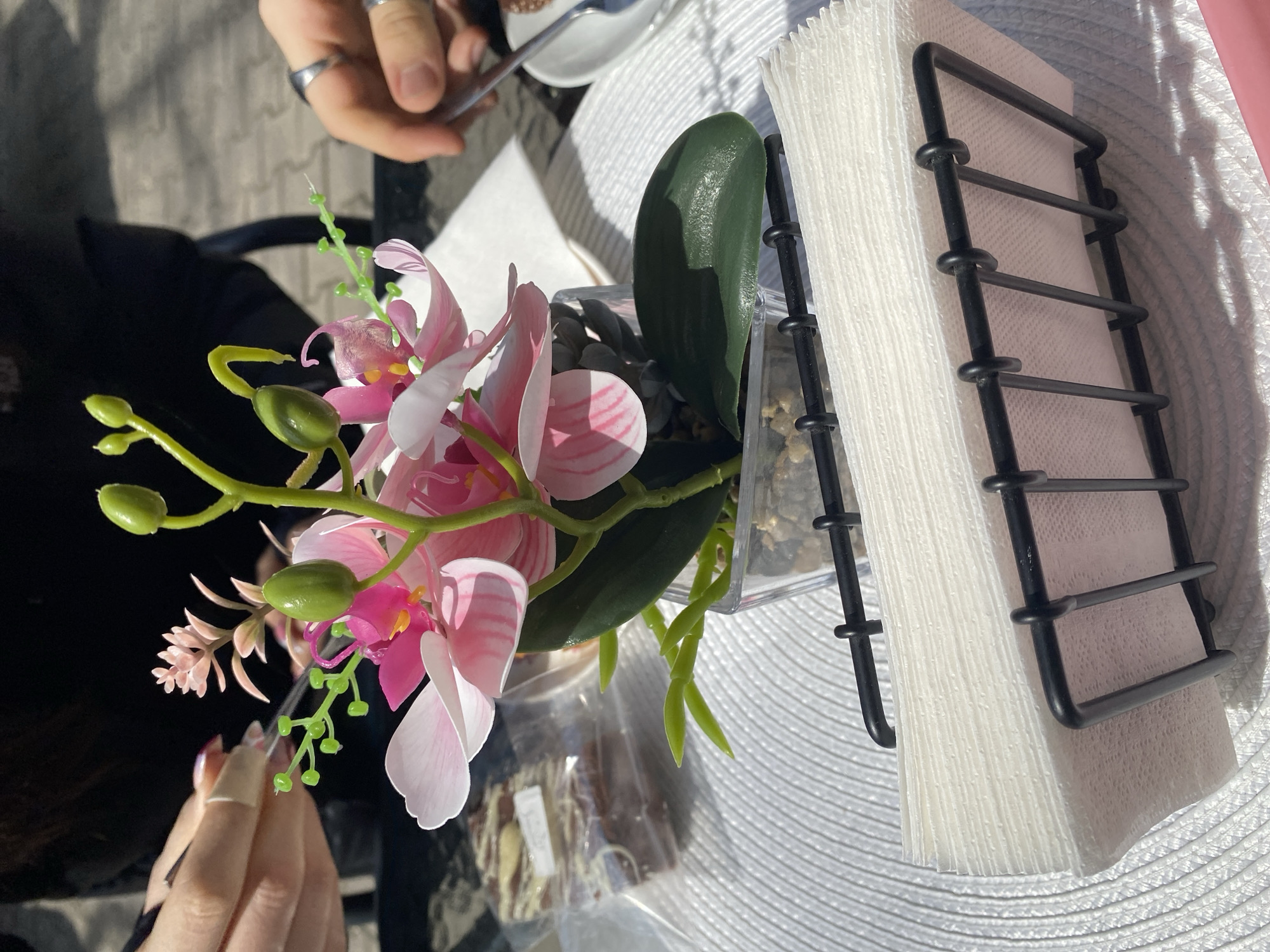 An outdoor table scene in Stara Zagora, Bulgaria, is depicted under direct sunlight. In the immediate foreground, a black, rectangular wire-frame napkin holder contains a stack of white, embossed paper napkins. Centrally positioned behind the napkin holder is a small, artificial orchid plant featuring pink and white blossoms, green buds, and dark green leaves, rooted in a clear plastic pot filled with light-colored pebbles. To the left, a person's left hand with light-colored manicured nails holds a silver-toned fork, positioned near a transparent plastic-wrapped food item displaying white and brown layers. To the right, a second person's right hand, adorned with two silver-toned rings on the index and middle fingers, holds a silver-toned spoon over a small white ceramic dish containing a dark substance. All items rest on a white, circular woven placemat. The background shows a dark, possibly paved, outdoor surface, and distinct shadows indicate a bright, sunny environment.
