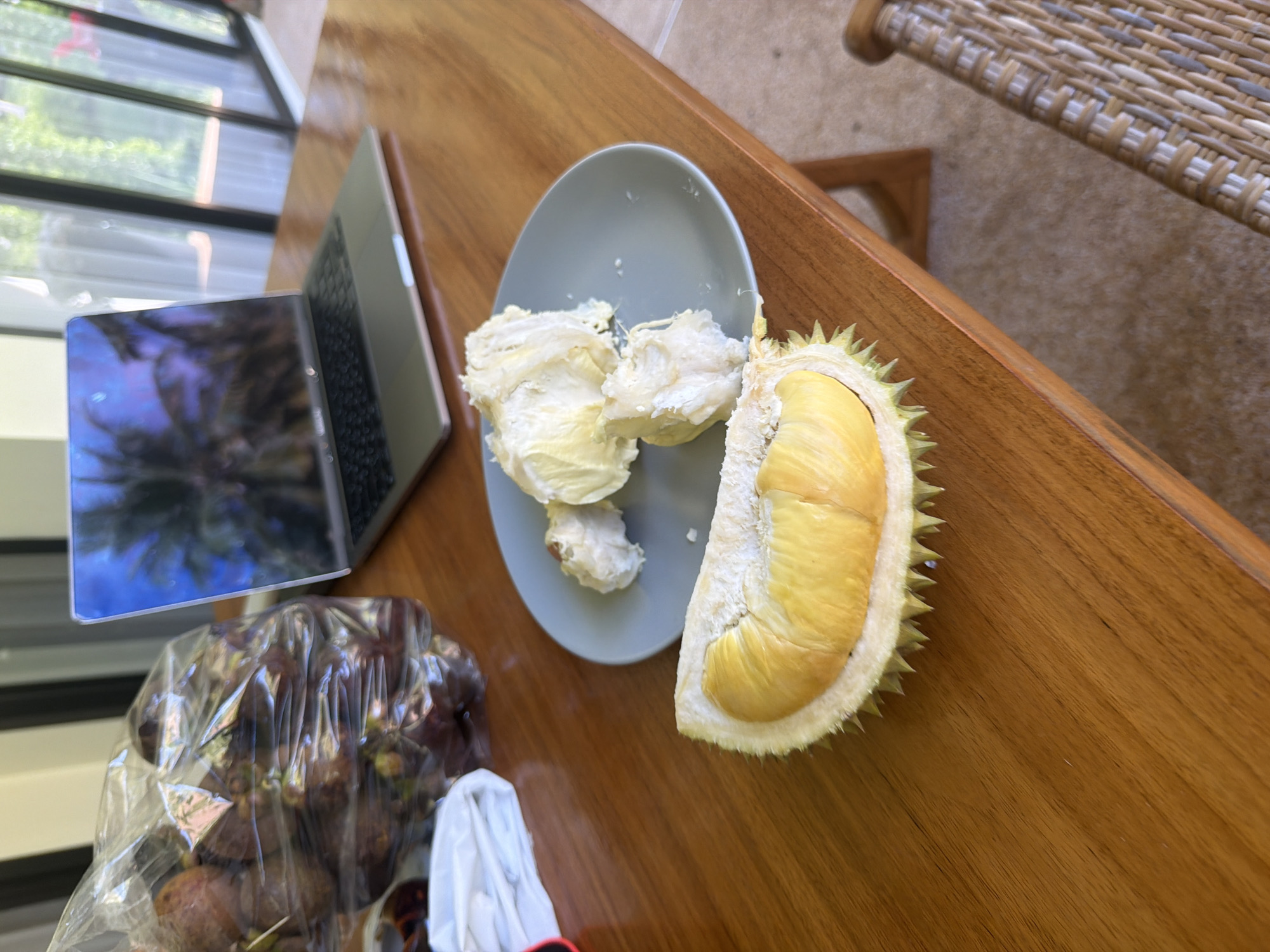 In a room with a view of tropical greenery through a large window, a wooden table is set with a laptop, a bag of fruit, and a plate of durian. The laptop is open, displaying a screen with palm trees. Next to it, a clear plastic bag is filled with dark-skinned fruits, possibly mangosteens. A piece of white cloth is folded to the left of the bag. In the foreground, a gray plate holds several pieces of pale yellow durian flesh. A single, halved durian, with its distinctive spiky rind and bright yellow flesh, rests on the table in front of the plate. The setting suggests a relaxed moment of enjoying tropical fruits in what appears to be a tropical location.