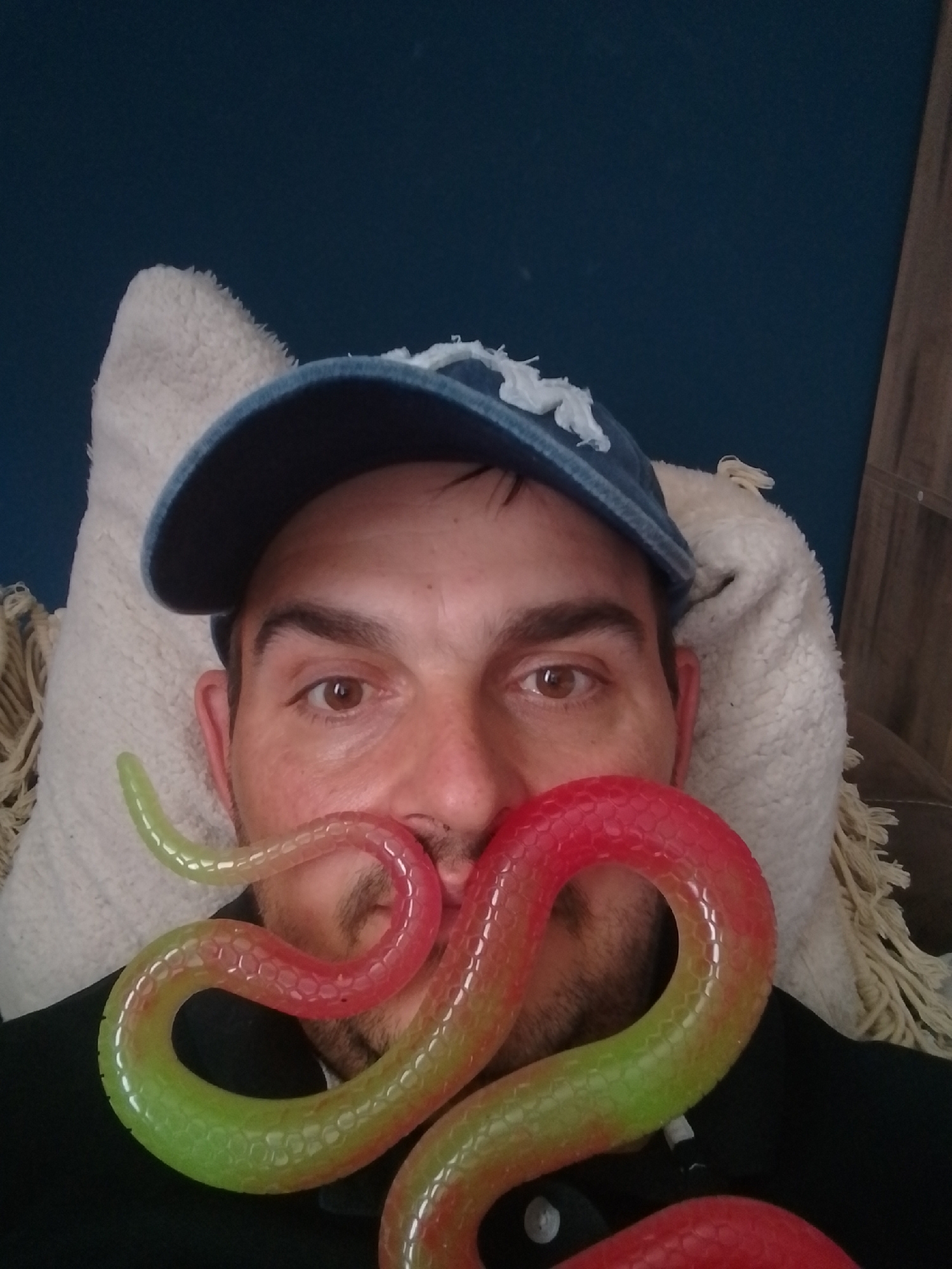This image shows a person wearing a blue baseball cap and a black shirt, with a toy snake draped across their face, resembling a mustache. The person is resting against a white, fuzzy pillow. The background consists of a dark blue wall and a wooden cabinet or shelf. The scene appears to be indoors, in a residential setting, likely in the city of Wedel, Germany, based on the provided location context. The lighting is soft, suggesting it may be daylight.