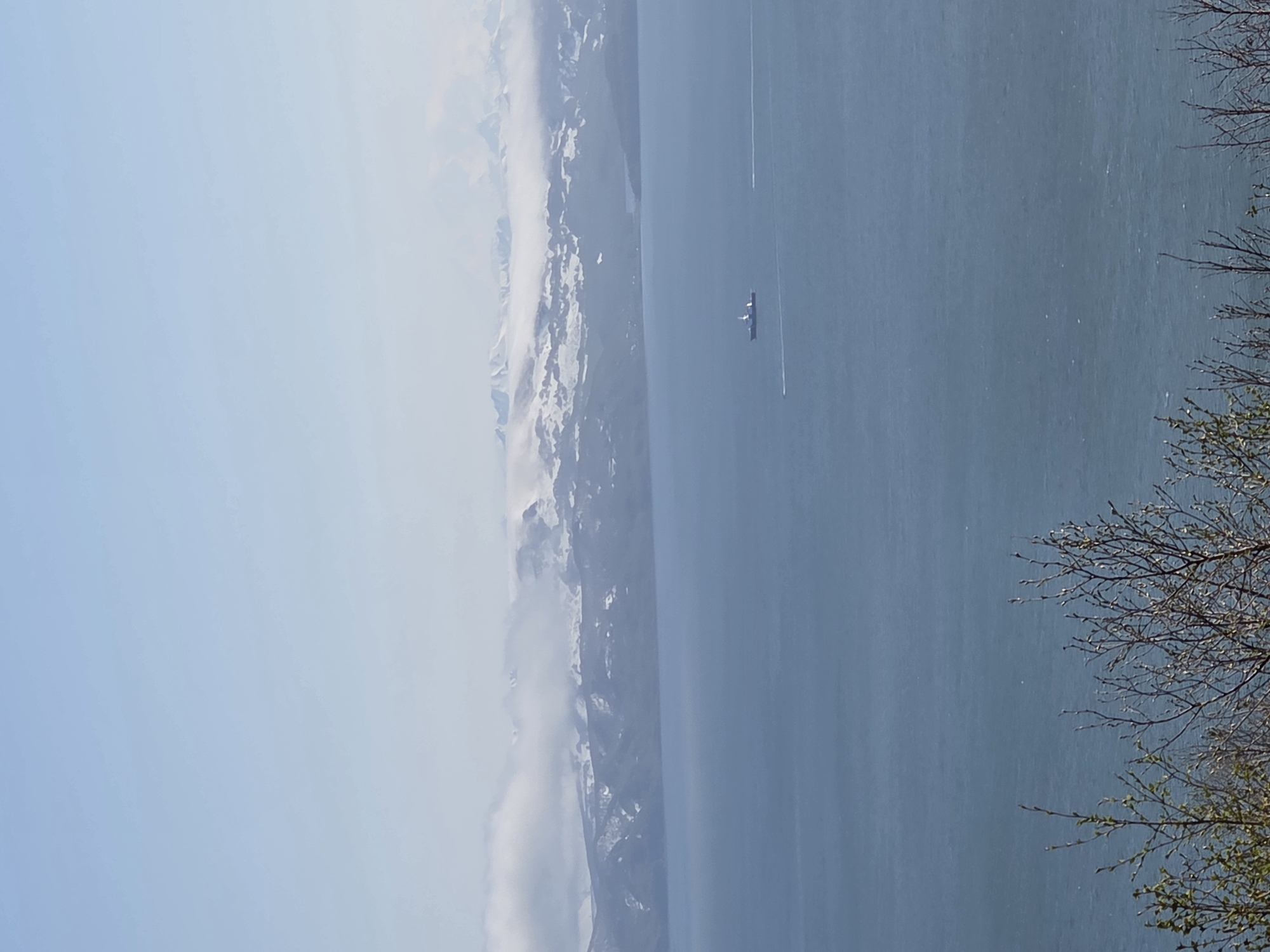 The image captures a panoramic view of a body of water with a snow-capped mountain range in the distance. In the foreground, bare tree branches with budding leaves are visible. The water is a deep blue, and a single ship is sailing in the middle ground, with two smaller boats trailing behind it. The sky is clear and a light blue. The scene is serene and expansive, suggesting a remote or natural setting, potentially in the vicinity of Крутобереговый, Russia, given the mountainous landscape.