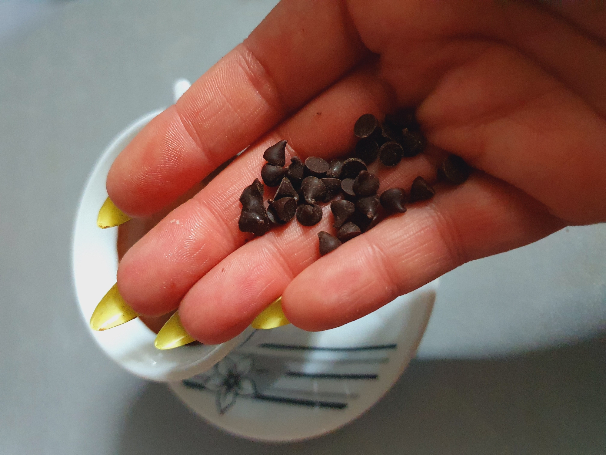A person's hand, with bright yellow polished fingernails, holds a small pile of dark brown chocolate chips. The hand is positioned in the foreground, with the fingers slightly curved. Behind the hand, a white teacup and saucer with a delicate floral design and thin black stripes are visible. The background is a neutral, light gray surface. The scene is lit from above, casting soft shadows. The image was taken in Shiraz, Iran.