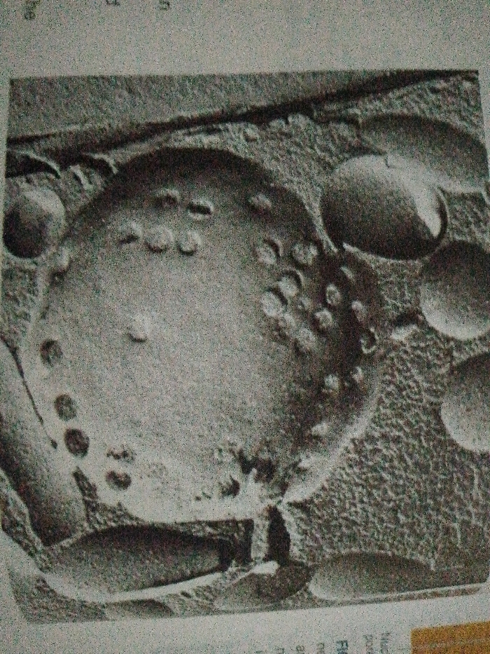 The image showcases a grainy, monochrome visual of what appears to be a microscopic structure. A large, circular form dominates the frame, its surface dotted with small, dark circles. Several smaller, similarly textured spheres surround the central form. An irregular background with a coarse texture is visible. The overall image seems to be scientific in nature, possibly showing cells or other microscopic organisms under high magnification.