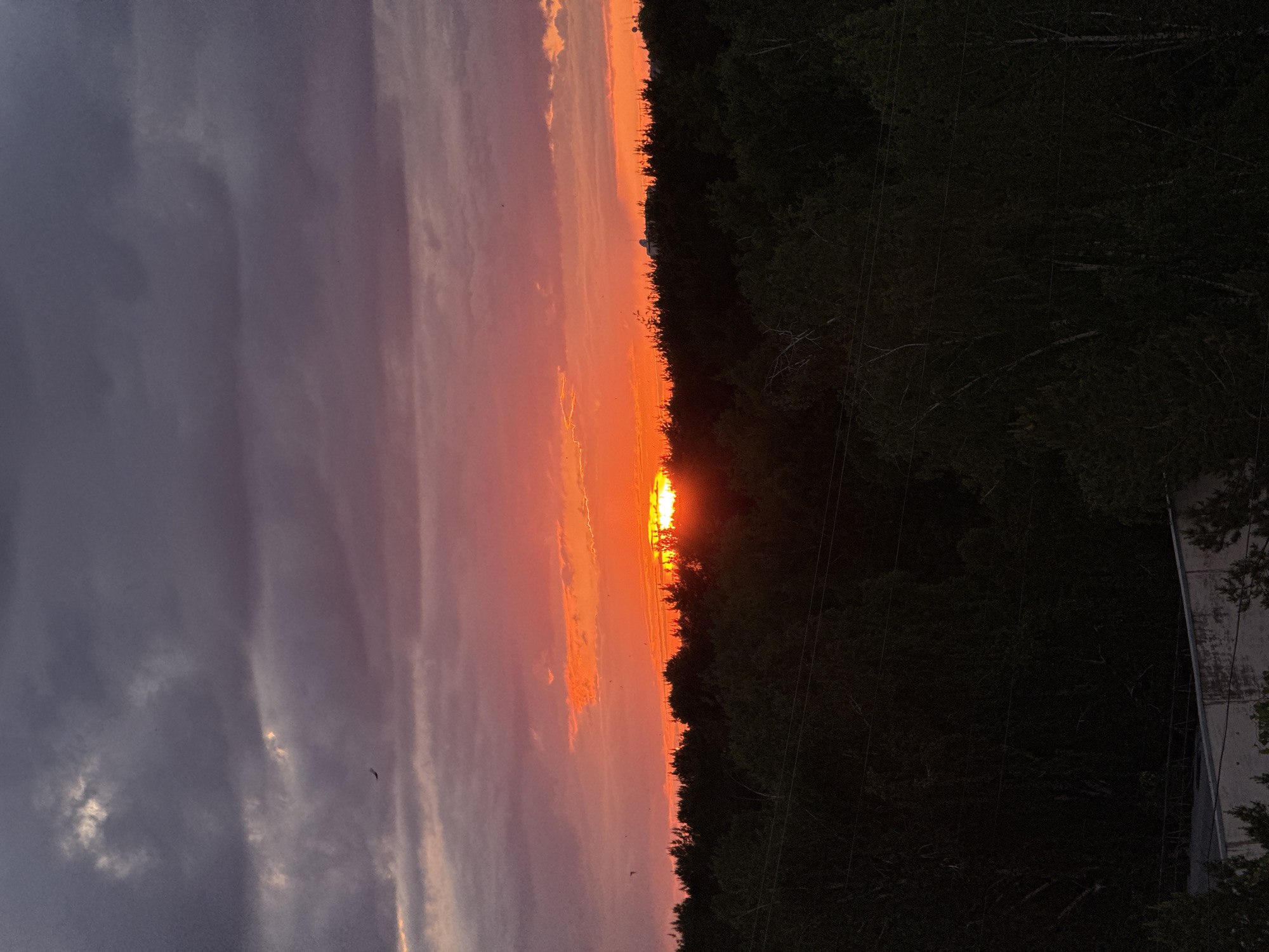 The image depicts a sunset, predominantly orange and red, obscured by a tree line. The sky transitions from dark, stormy gray to the vibrant hues of the setting sun. A building is visible at the edge of the frame. The location is likely Chaikovsky, Russia, suggested by the presence of typical Russian architectural characteristics in the building. No people are visible.