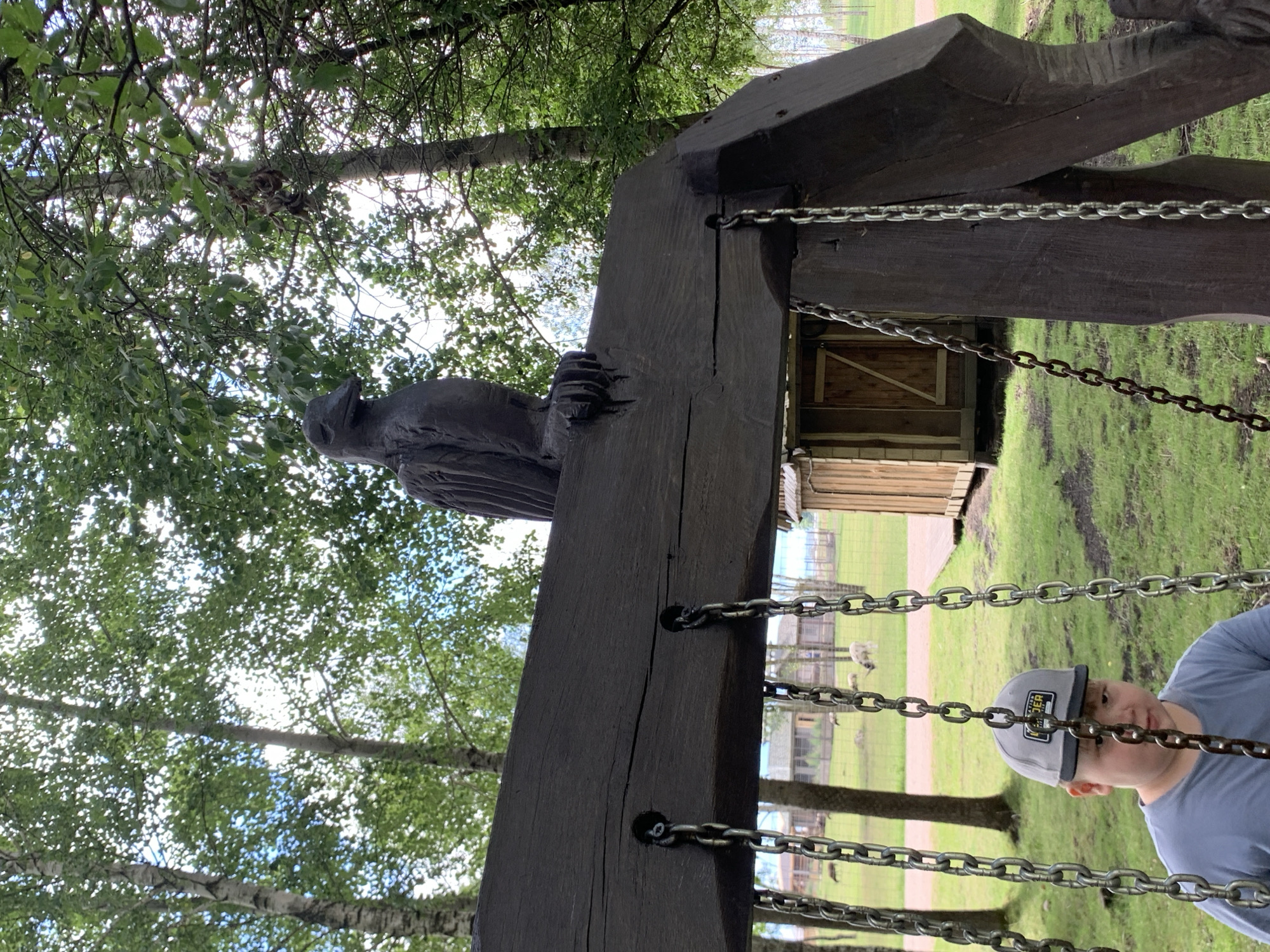 A carved wooden bird sculpture sits atop a heavy, dark wooden beam, which is part of an outdoor swing set. The beam is supported by thick, angled wooden posts. Heavy chains hang from the beam, suspending the swing seat (not fully visible). In the foreground, a young person wearing a grey baseball cap and a grey t-shirt is partially visible, seated on the swing and looking down. Behind the swing set, a grassy area is visible with a small wooden building with a sloped roof and wooden doors. Further in the background, there are more wooden structures and fences. Several white animals, possibly sheep or goats, are grazing in the field. The scene is set outdoors amidst a backdrop of tall trees with green foliage. The location is identified as Malakhovetsky Rural Council, Belarus.