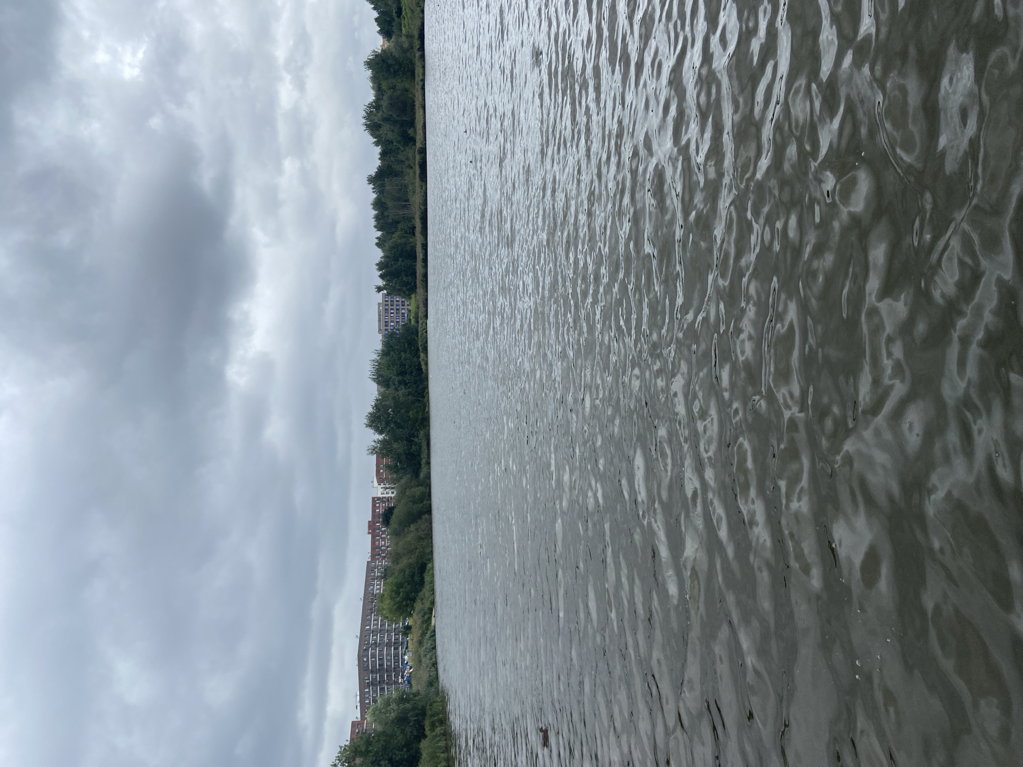 The image depicts a wide shot of a body of water on an overcast day. The water's surface is rippled, with sunlight reflecting off the waves, creating a dynamic texture. In the distance, along the far bank of the water, is a line of dense green trees. Behind the trees, several multi-story residential buildings are visible, some with red brick facades and others with lighter colored exteriors. The sky is filled with heavy, grey clouds, suggesting a cool or potentially rainy day. A single duck is visible swimming on the water in the left-hand side of the frame. The overall scene suggests an urban or suburban setting adjacent to a natural water feature.