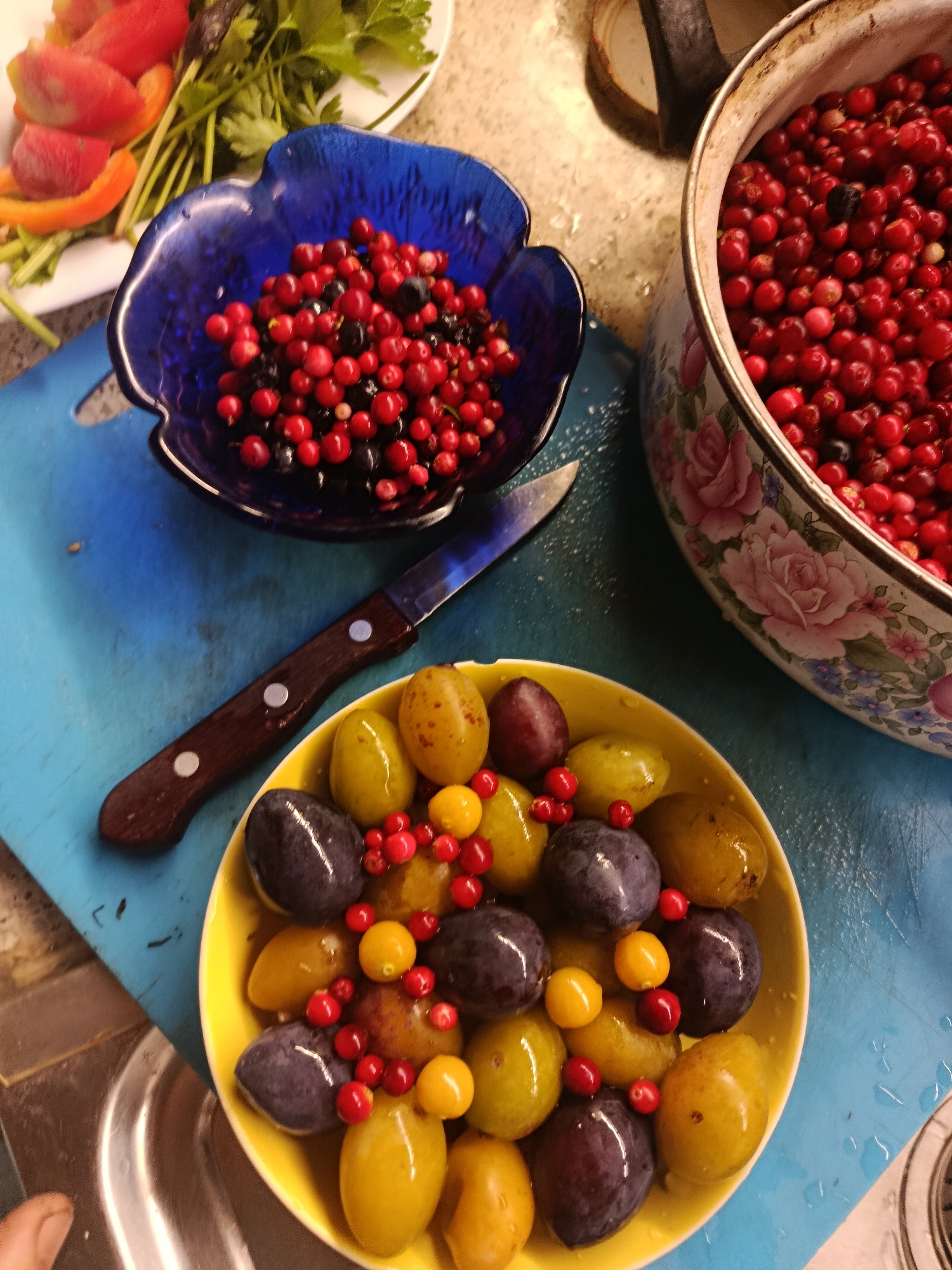 The image depicts a close-up overhead view of a culinary preparation scene, set on a blue cutting board which is placed on a countertop. To the left, a blue glass bowl overflows with red and black berries, likely cranberries and blueberries. Adjacent to it, a white plate holds sliced red bell peppers and green herbs. In the center, a knife with a wooden handle rests on the cutting board. To the right, a large pot decorated with pink roses is filled with more red berries. At the bottom of the image, a yellow bowl contains a mix of purple plums, yellow plums, and scattered red berries. The presence of fresh produce suggests a food preparation activity. The environment appears to be a kitchen. There are no identifiable landmarks or architectural features to pinpoint the location specifically to the city of Верея, Russia, or any other city.