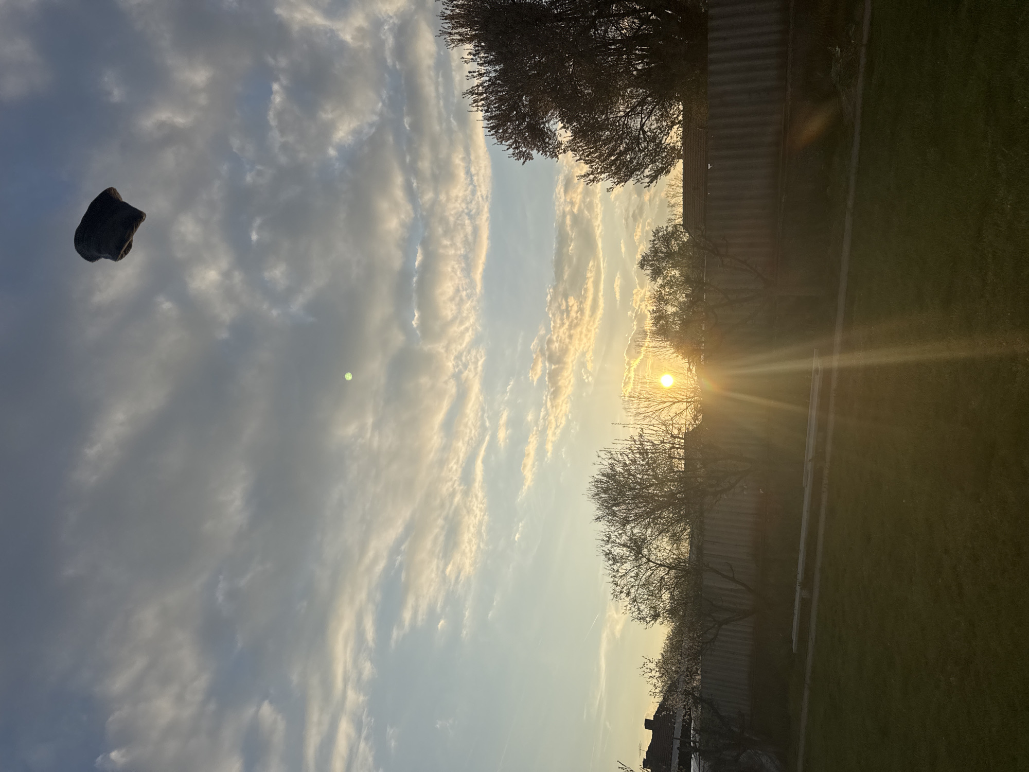 The image depicts a landscape scene. In the foreground, there's a dark, indeterminate object floating in the sky. Above, a cloudy sky with a warm, golden light shining through. In the background, there are trees and a fence. The sun is visible, creating a bright glare. The time of day appears to be either sunrise or sunset. No people or specific actions are visible. Location cannot be determined.