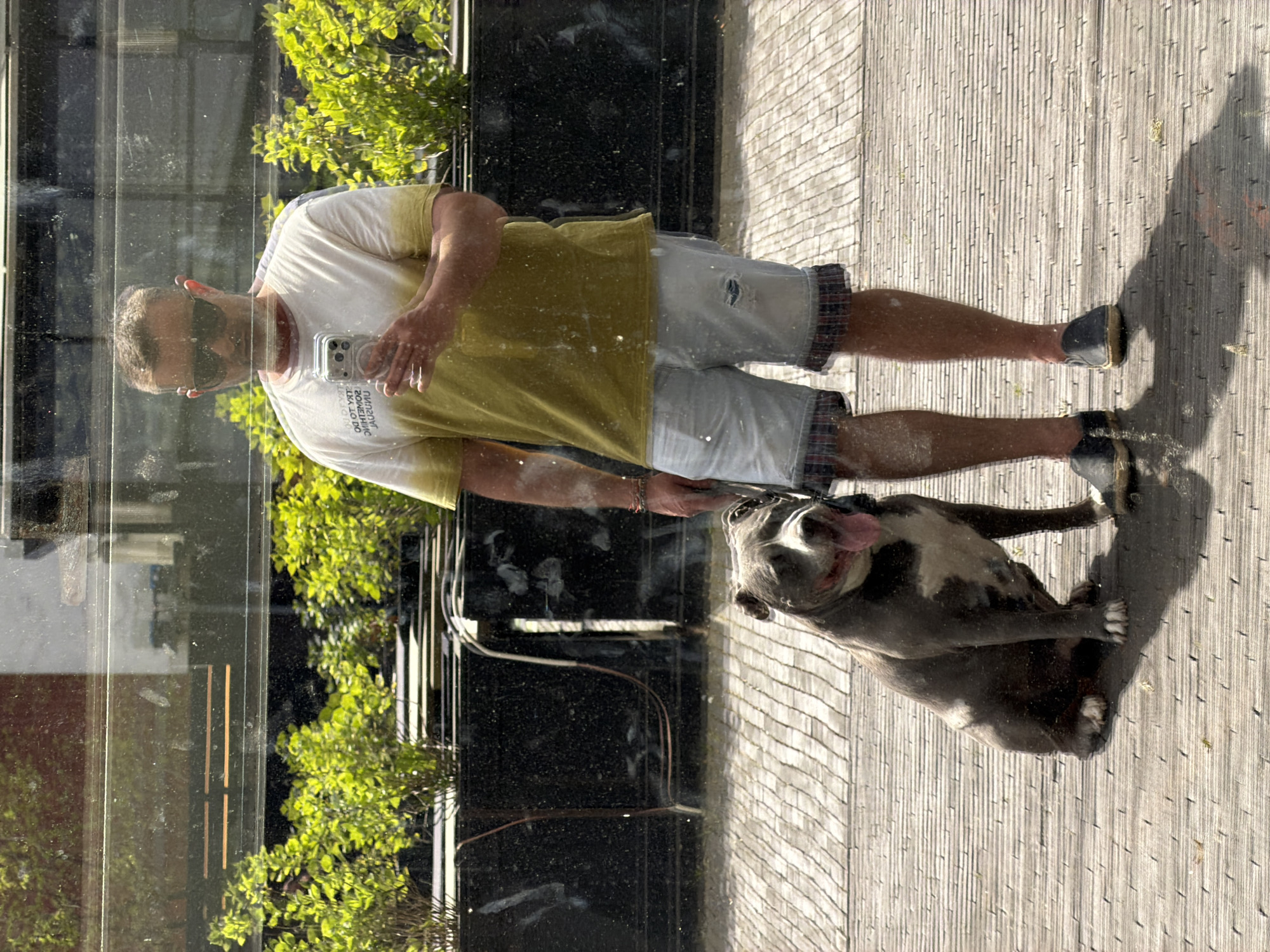 The image is a reflection in a window, showing a man and a dog on a wooden deck. The man is wearing sunglasses, a white t-shirt with a yellow portion, and shorts. He is holding a smartphone. The dog appears to be a pit bull mix with a dark coat and white markings. The setting appears to be outdoors, near foliage, potentially in the city of Esch-sur-Alzette, Luxembourg. The reflection creates a distorted perspective.