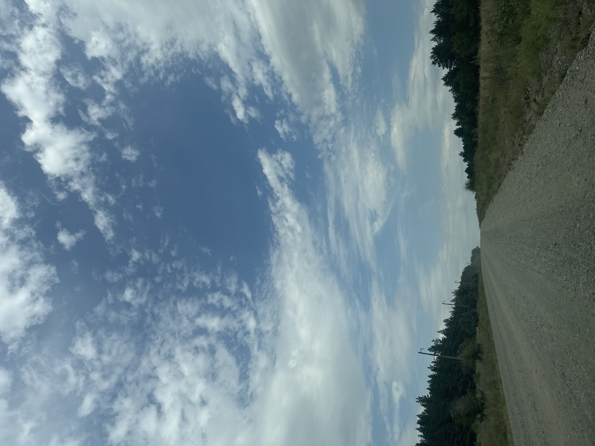 An eye-level, vertical, long shot shows a gravel road stretching into the distance, flanked by sparse, dry grass and a dense line of dark green coniferous trees on the left. The road appears to be in the countryside, possibly near the town of Vasilyevka, Russia, given the consistent pattern of coniferous forests often found in the region. The sky is a brilliant blue, filled with scattered white cumulus clouds that create a dynamic and slightly dramatic contrast with the clear sky. The road is unpaved and appears to be a rural access road, possibly leading to or from a forested area. There are no people or vehicles visible in the frame, suggesting a moment of solitude. The overall impression is one of vastness and natural beauty, with the road serving as a path into an unknown destination. The time of day appears to be daytime, likely mid-morning or afternoon, given the bright sunlight casting shadows. The scene is tranquil and serene, conveying a sense of peace and remoteness.