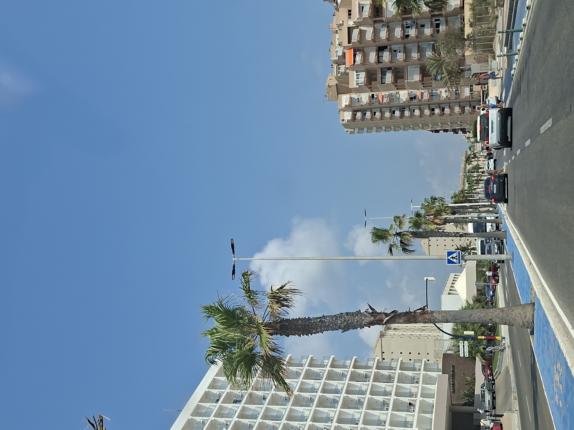 The image depicts a street scene in the city of San Javier, Spain, likely near the coast. A multi-story white hotel, characterized by numerous balconies, dominates the left side of the frame. To the right, a tall, multi-story building with a beige facade and numerous balconies is visible. Palm trees line the street, some appearing mature and tall, others shorter. The road itself is paved and features blue-painted lanes, possibly for cyclists or pedestrians. Several vehicles are on the road, including cars and a bus. Pedestrians are also present, some walking along the sidewalk and others crossing the street. A pedestrian crossing with a blue sign indicating a crosswalk is visible. The sky is clear blue with some white clouds. The overall impression is a sunny day in a developed urban area, likely a tourist destination.