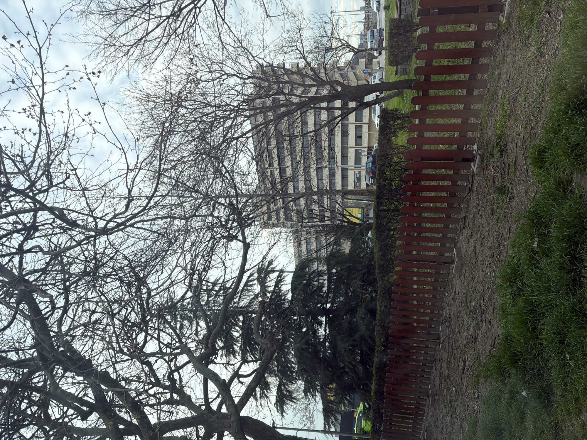 The image shows a cityscape in Plovdiv, Bulgaria. A tall, multi-story building with a rectangular facade is visible in the background. In the foreground, there are several trees, most of which are bare of leaves, suggesting winter or early spring. A low, wooden fence runs along the right side of the frame, separating a grassy area from the trees. Cars and other vehicles can be seen on a street behind the fence. The sky is overcast, with a greyish-white color. The overall impression is a somewhat bleak urban scene.