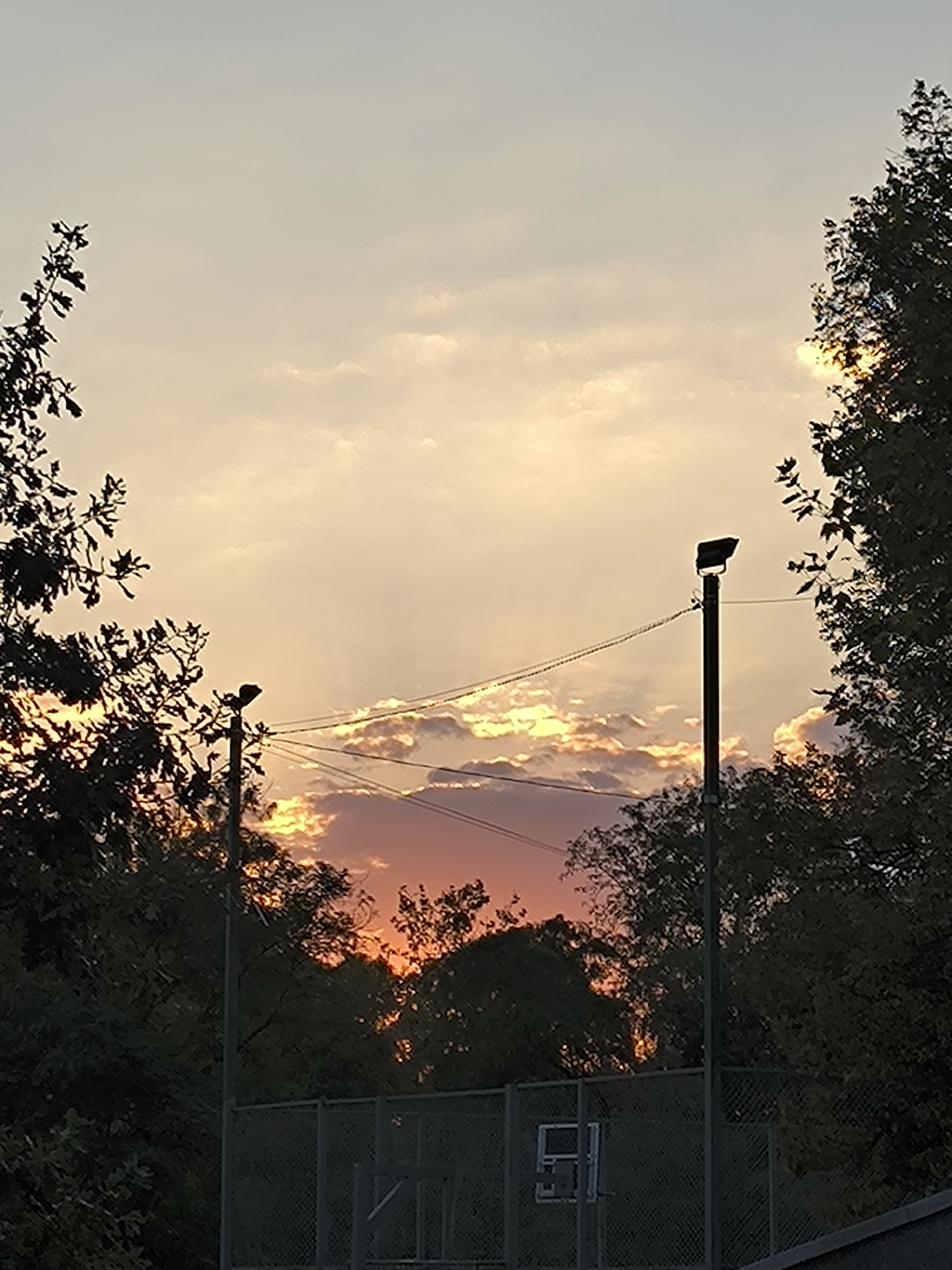 The image depicts a sunset scene with a sky displaying hues of orange, pink, and yellow due to the setting sun behind scattered clouds. Silhouetted against the sky are the tops of trees on the left and right sides of the frame, with foliage casting shadows. In the middle ground, a chain-link fence is visible, partially obscured by trees. A dark pole with a spotlight fixture is positioned slightly to the right of the center, with thin wires extending horizontally from it. The overall setting suggests an outdoor recreational area, possibly a park or sports field, in Mykolaiv, Ukraine, at dusk. There are no people or animals visible in the image.