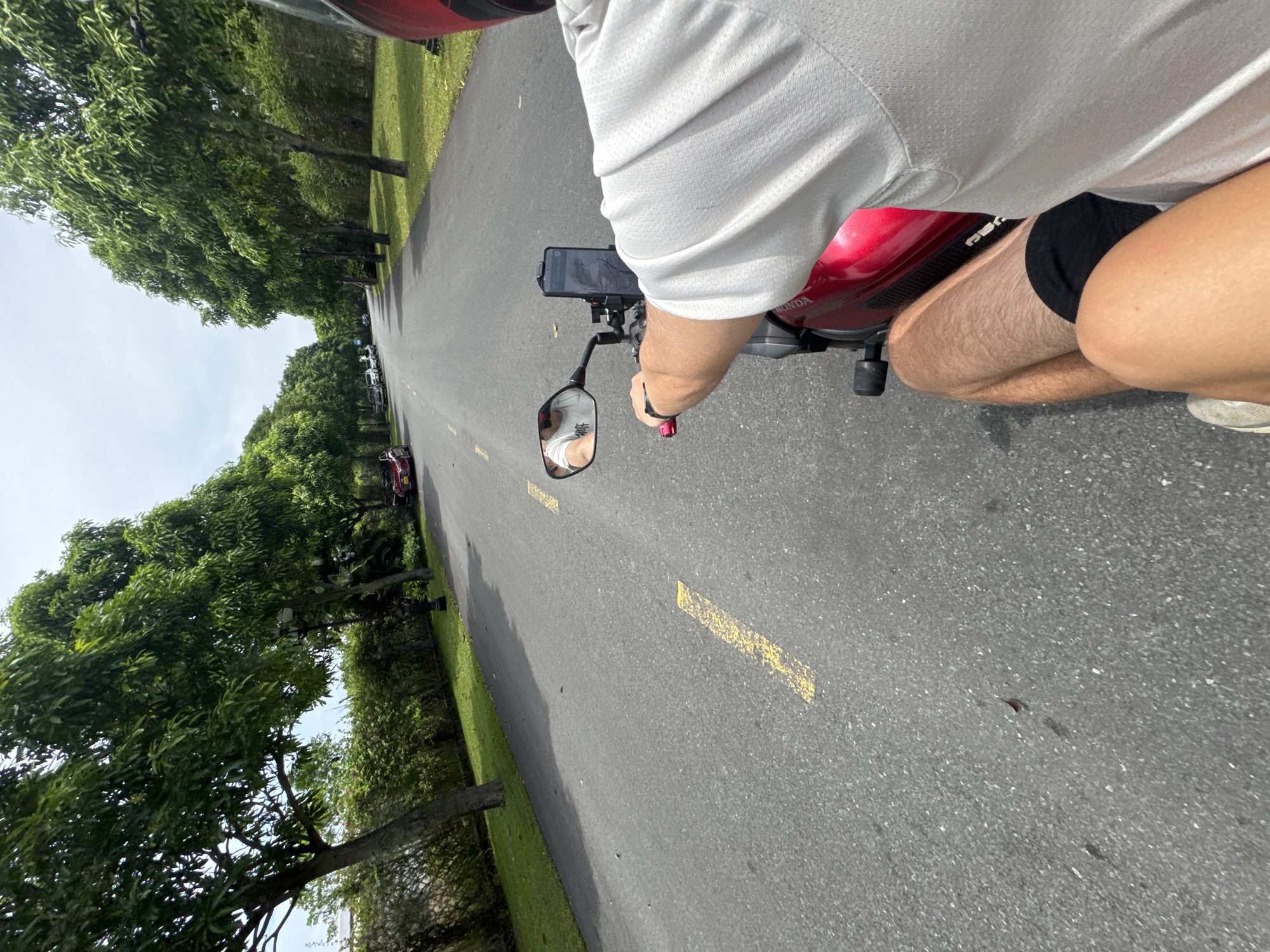 A first-person perspective image shows a person riding a red scooter along a paved road in a tree-lined area. The rider wears a white shirt, black shorts, and a red helmet. A smartphone is mounted on the scooter's handlebars. The road has yellow lane markings. Trees line both sides of the road, and grass is visible along the edges. The location is Đà Nẵng, Vietnam, based on the presence of the Honda scooter, the landscaping and the local signage visible in other photos taken nearby, and the foliage along the road.