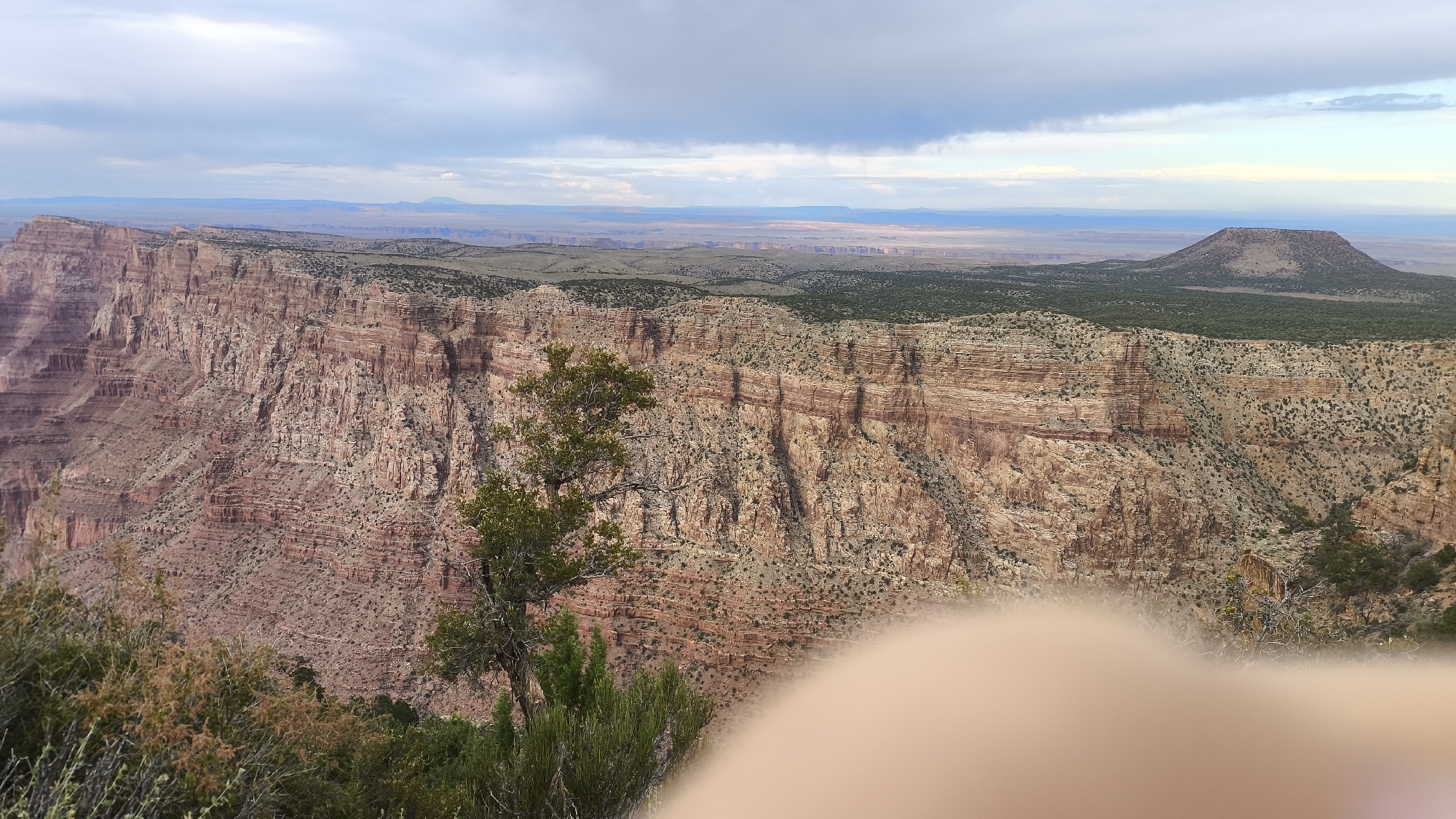 The image captures a panoramic view of the Grand Canyon, likely from the South Rim, near Grand Canyon Village, Arizona, United States. The foreground features the edge of a vast canyon with layered rock formations in shades of red, orange, and brown. A lone, scrubby tree with green foliage stands on the left, its branches reaching out towards the canyon. In the mid-ground, the canyon floor is visible, dotted with more sparse vegetation and smaller rock outcrops. Further in the distance, a vast, arid landscape stretches to the horizon, characterized by rolling hills and more distant canyons. A prominent, cone-shaped mesa rises from the plains on the right side of the image. The sky above is a mix of gray and white clouds, with hints of blue peeking through, suggesting an overcast day. The bottom right portion of the image is obscured by a blurred, peachy-colored area, likely a person's hand or finger blocking the camera lens. There are no other people or discernible objects or actions in the scene.
