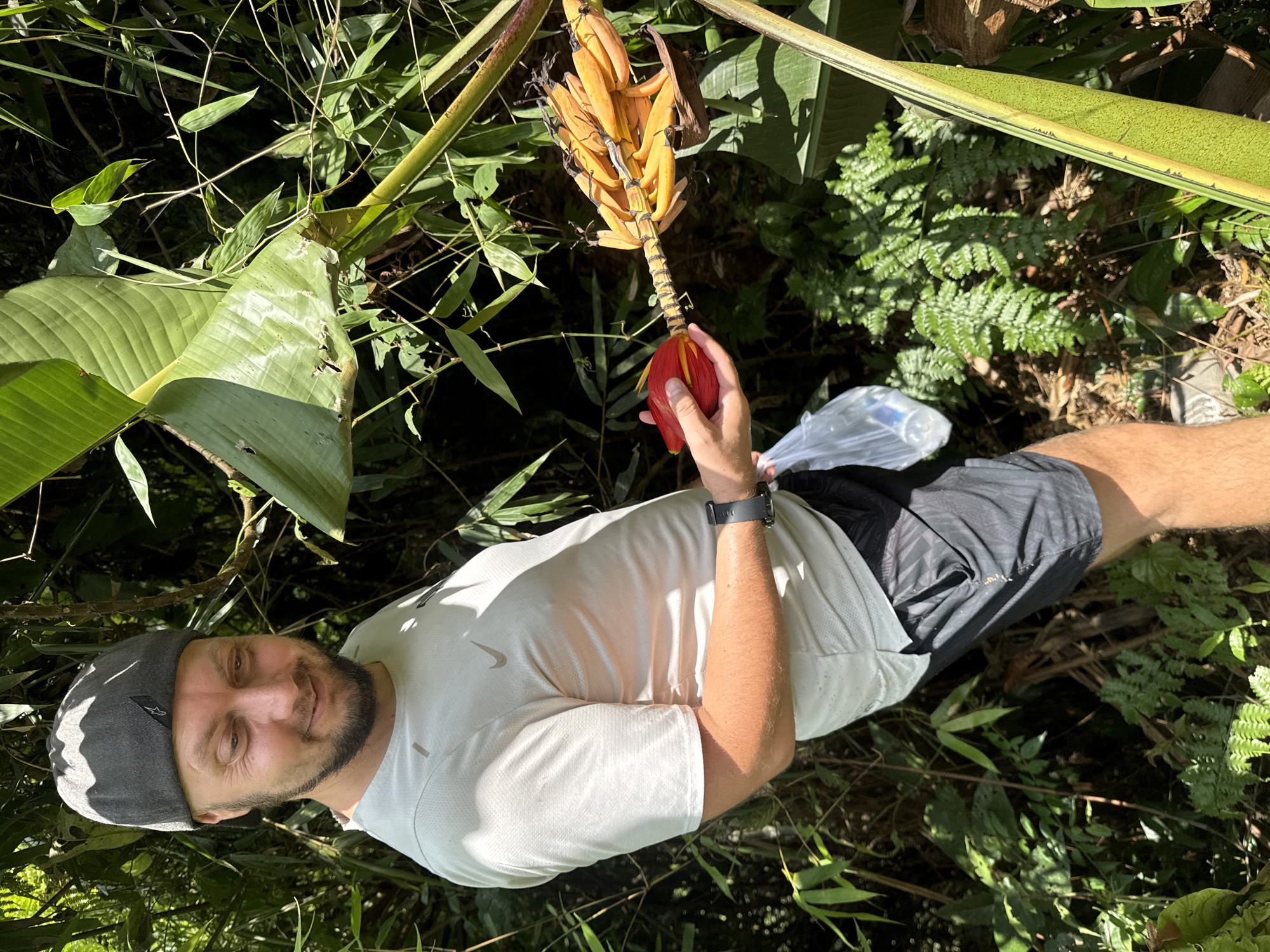 A man wearing a gray cap, white shirt, and black shorts stands in a lush, green environment, holding a banana flower. The location is presumably in Suối Giàng, Vietnam. The area is densely vegetated with various plants, including banana trees, ferns, and bamboo. The man is the focal point of the image, with his hand holding the red banana flower. The banana flower itself has emerging yellow bananas with dark ends. A discarded plastic bag can also be seen in the background.