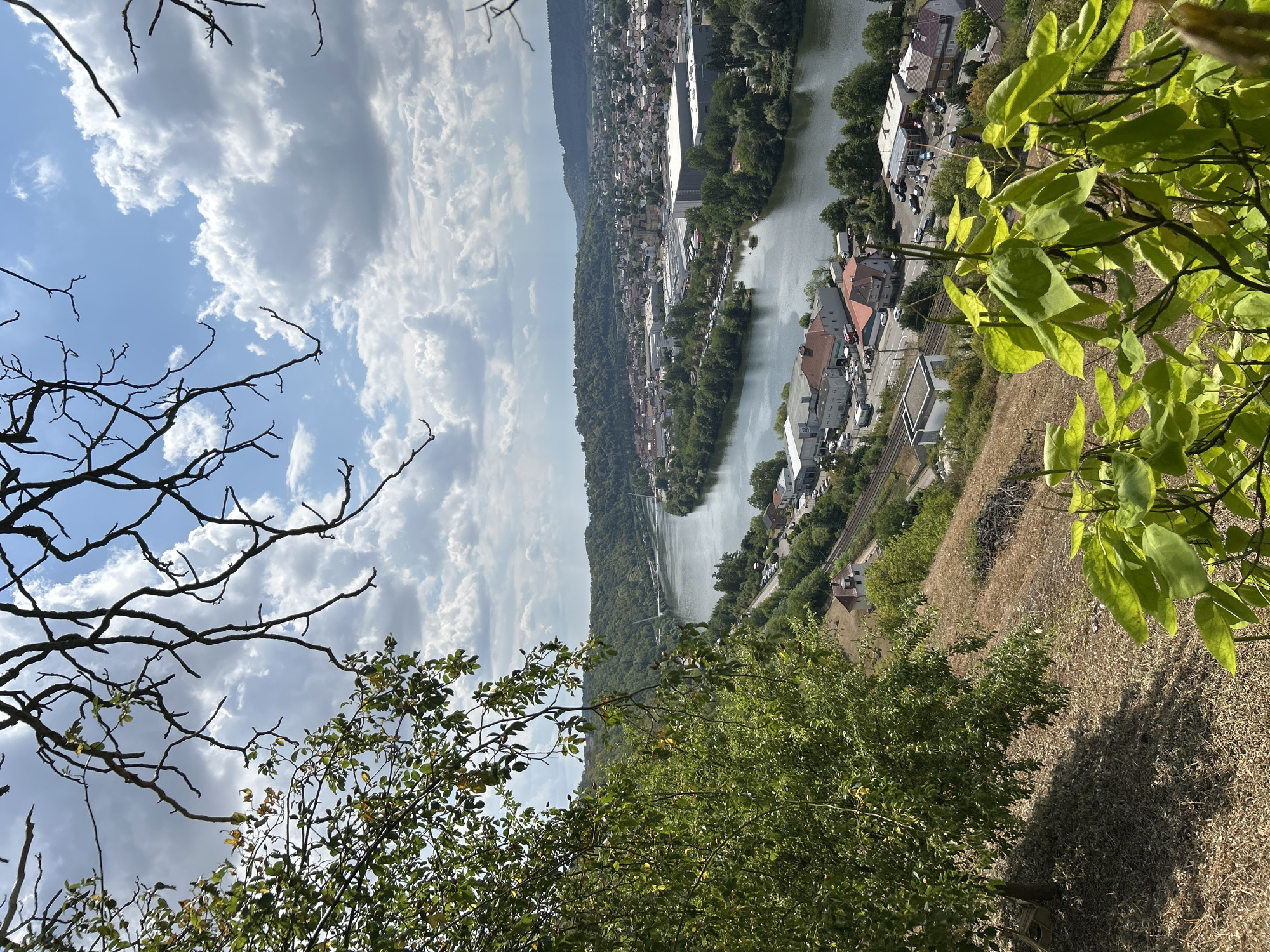 The image shows a panoramic view of Neckarzimmern, Germany, captured from an elevated vantage point. In the foreground, a bare tree branch extends from the top left, casting shadows on a bright blue sky dotted with fluffy white clouds. To the left, lush green foliage from another tree frames the scene, with some dry grass and leaves on the hillside below.
The middle ground is dominated by a wide, calm river, likely the Neckar River, flowing through a valley. Along the riverbanks, a small town is nestled amongst rolling green hills covered in dense trees. Buildings of varying sizes and colors, including residential homes and industrial structures with white roofs, are visible. A road runs parallel to the river, with several parked cars. A railway track is also present. In the distance, more hills and the hazy outlines of the town extend towards the horizon.
The overall scene depicts a sunny day with a mix of natural and man-made elements, showcasing the picturesque landscape of Neckarzimmern.