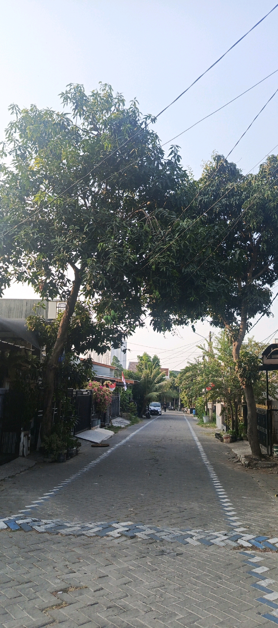 A residential street in Sukaresmi, Indonesia, is captured in a vertical, eye-level shot on a clear, sunny day. The street is paved with interlocking bricks and marked with dashed white lines, forming a chevron pattern at the foreground. Large trees with dense green foliage arch over the street, casting shadows. On either side of the street are houses with fences and gardens. A white car is parked on the left side of the road, and a motorcycle is parked near it. In the distance, a few people can be seen walking. Power lines crisscross the sky above the trees. The overall impression is of a quiet, suburban neighborhood.