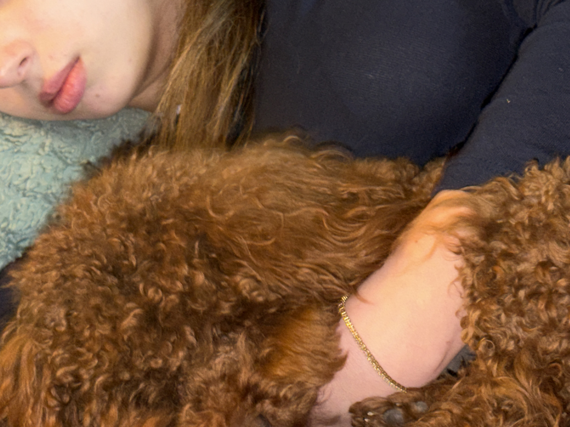 A person is cuddling with a brown, curly-haired dog. The person is lying on what appears to be a textured, blue-green surface, possibly a blanket or cushion. The person is wearing a dark-colored, long-sleeved shirt, and a gold chain bracelet is visible on their wrist. The focus of the image is on the interaction between the person and the dog. No information is available regarding the location in Sofia, Bulgaria.