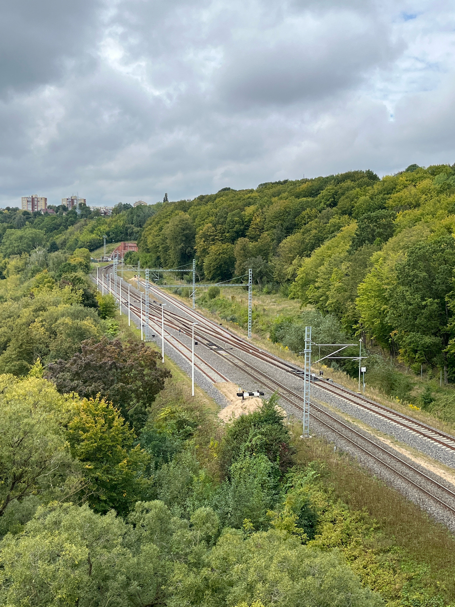 This is a medium-angle, high-resolution, eye-level shot of a railway line cutting through a wooded area with a cloudy sky overhead. In the background, to the left, a cluster of apartment buildings are visible on a hill, indicating an urban fringe setting. The railway tracks, accompanied by overhead power lines and poles, curve through the dense green foliage of deciduous trees. The trees display a mix of greens and yellows, suggesting it might be late summer or early autumn. The scene appears to be located on the outskirts of Kaunas, Lithuania, given the architectural style of the buildings and the typical landscape. There are no people or vehicles visible in the image. The overall impression is one of a functional piece of infrastructure integrated into a natural, somewhat overgrown environment.