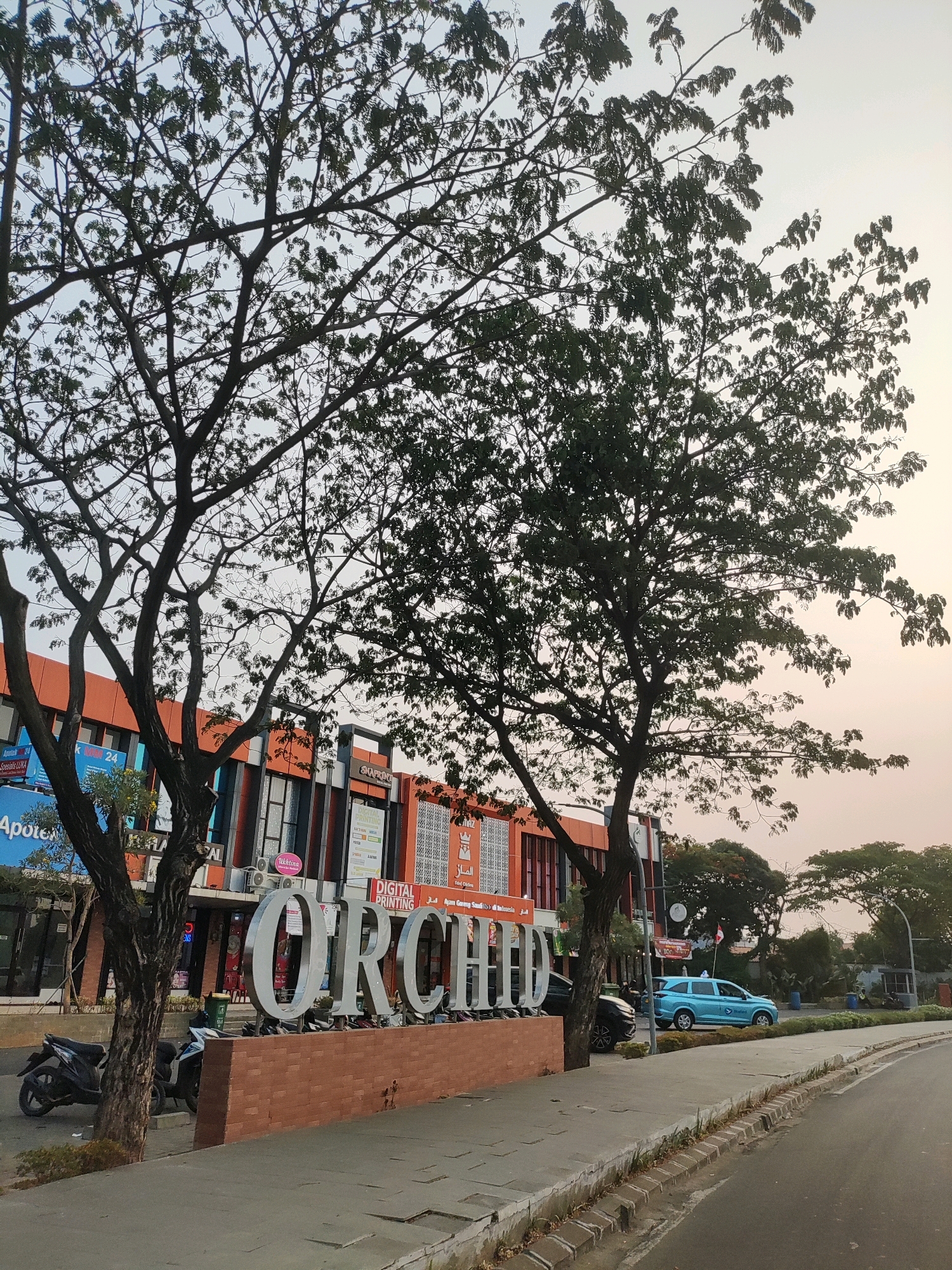 The image depicts a street scene in Telagaasih, Indonesia, featuring a prominent "ORCHID" sign made of large, silver, three-dimensional letters. The sign is situated in front of a brick wall. To the left of the sign, there are two parked motorcycles. Behind the sign and wall is a row of shops with orange and blue facades. Trees with dense foliage are visible in the foreground, with their branches extending across the upper portion of the image. A paved sidewalk runs along the street, and a road is visible on the right side of the frame. A light blue car is parked on the side of the road. The sky is overcast with a soft, diffused light, suggesting either early morning or late afternoon.